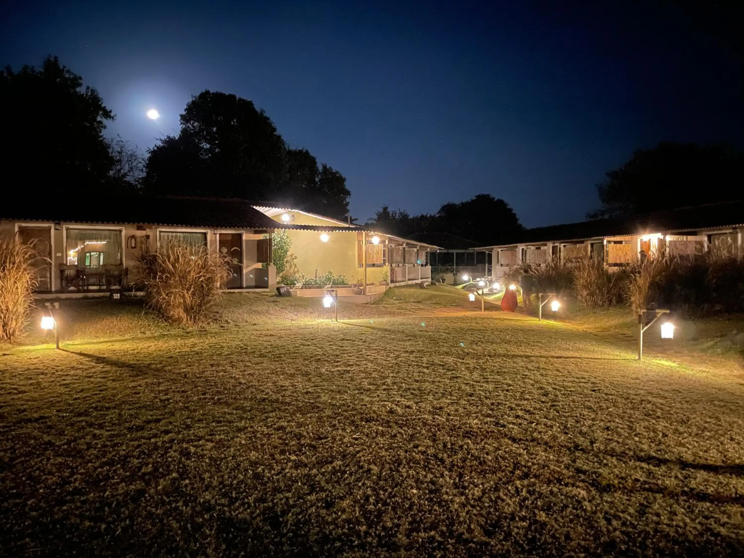 Night in Asiatic Lion Lodge