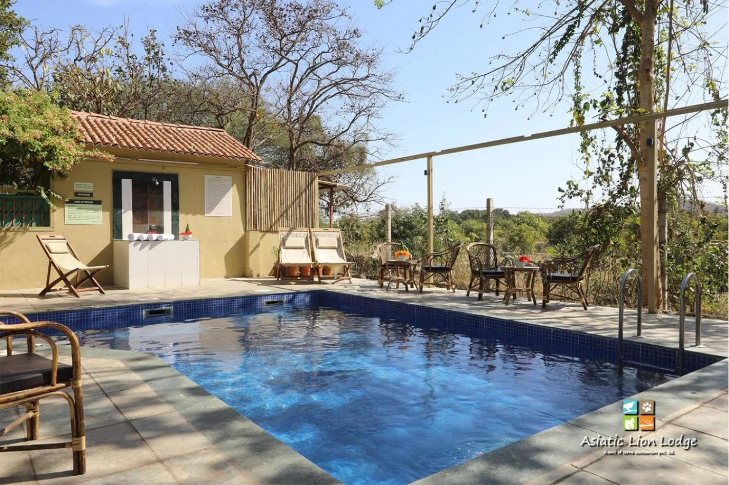 Swimming pool in Asiatic Lion Lodge