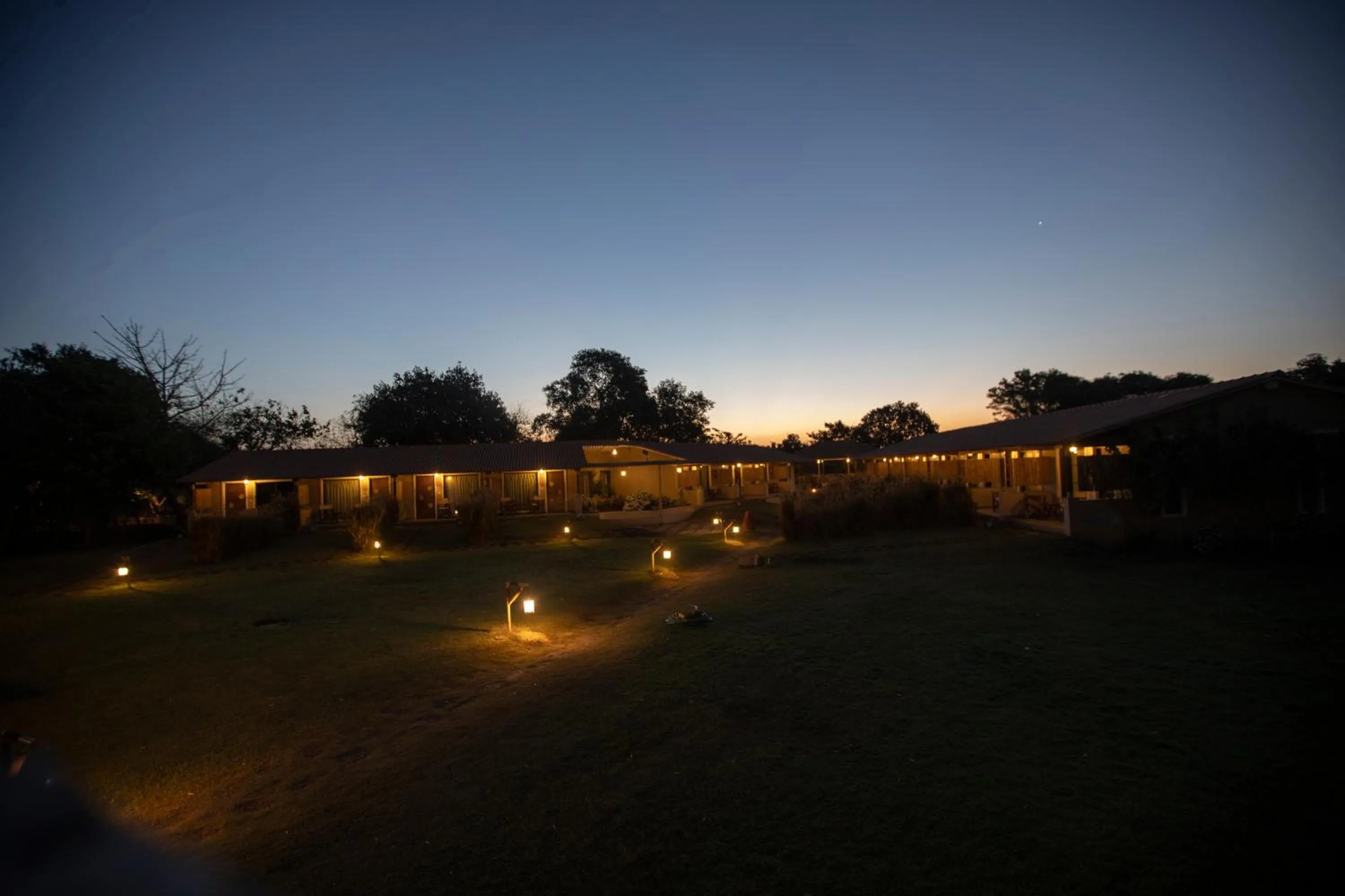 Evening entertainment in Asiatic Lion Lodge