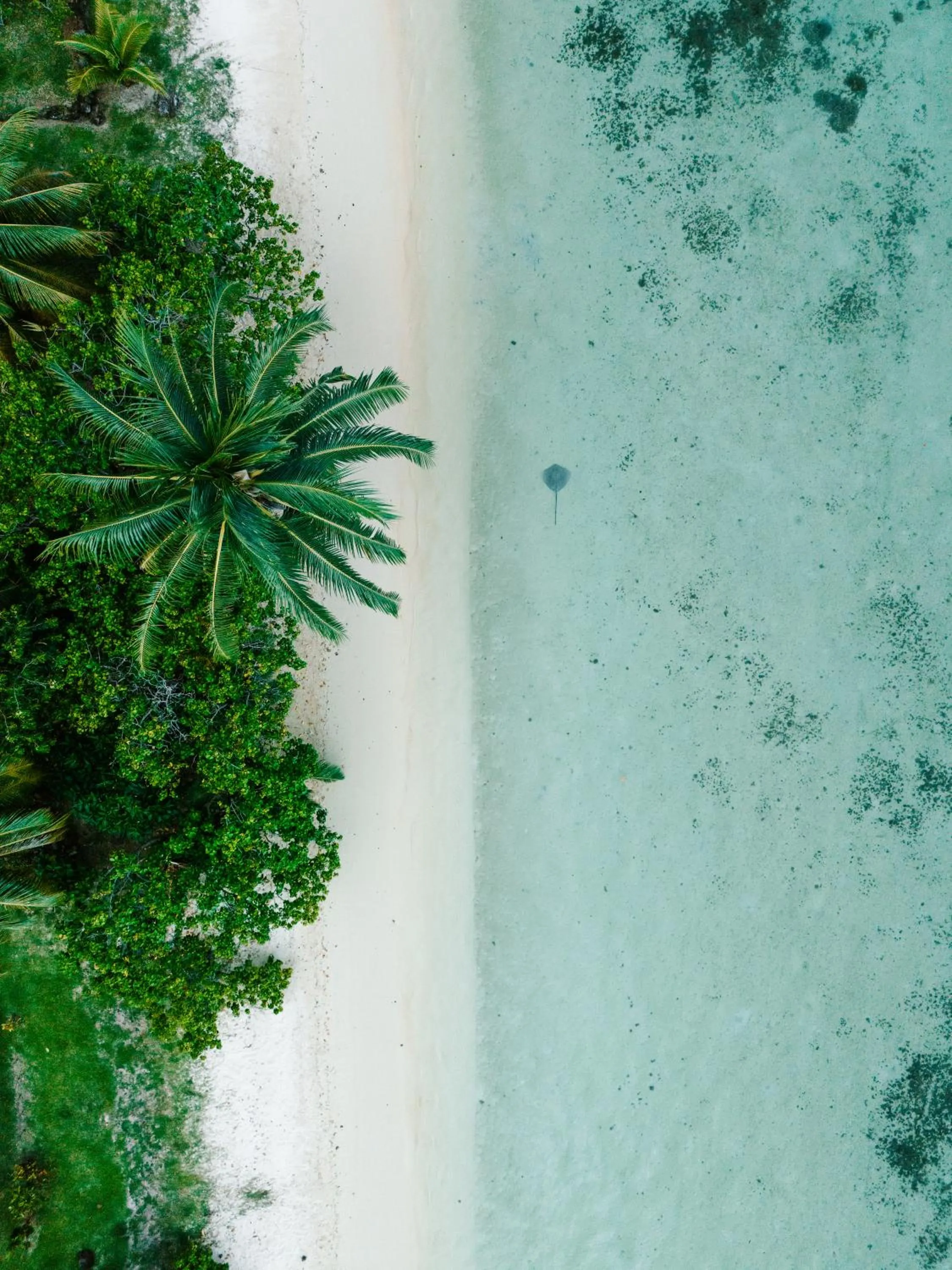 Natural landscape in Niu Beach Hôtel Moorea