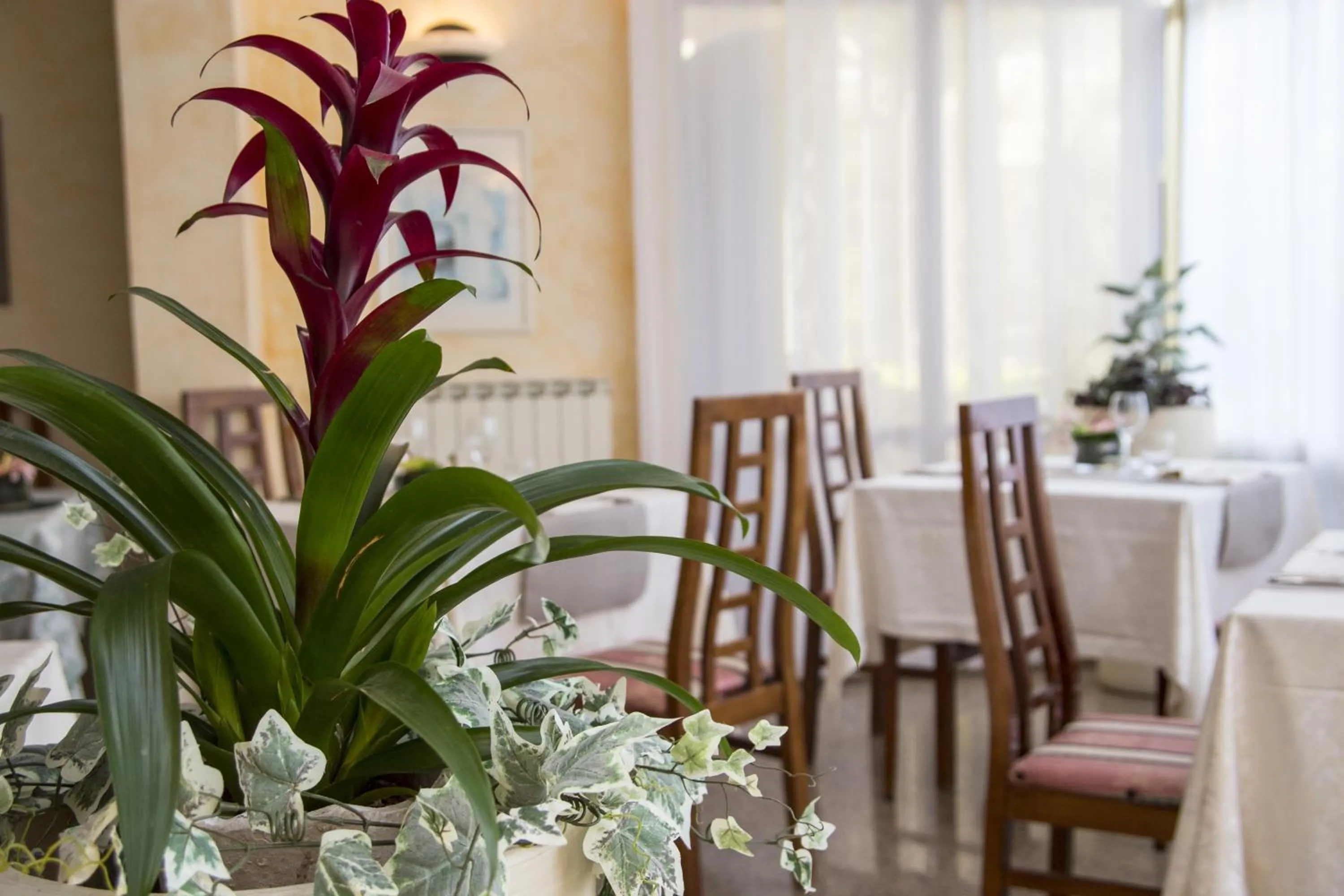 Decorative detail in Hotel Rita