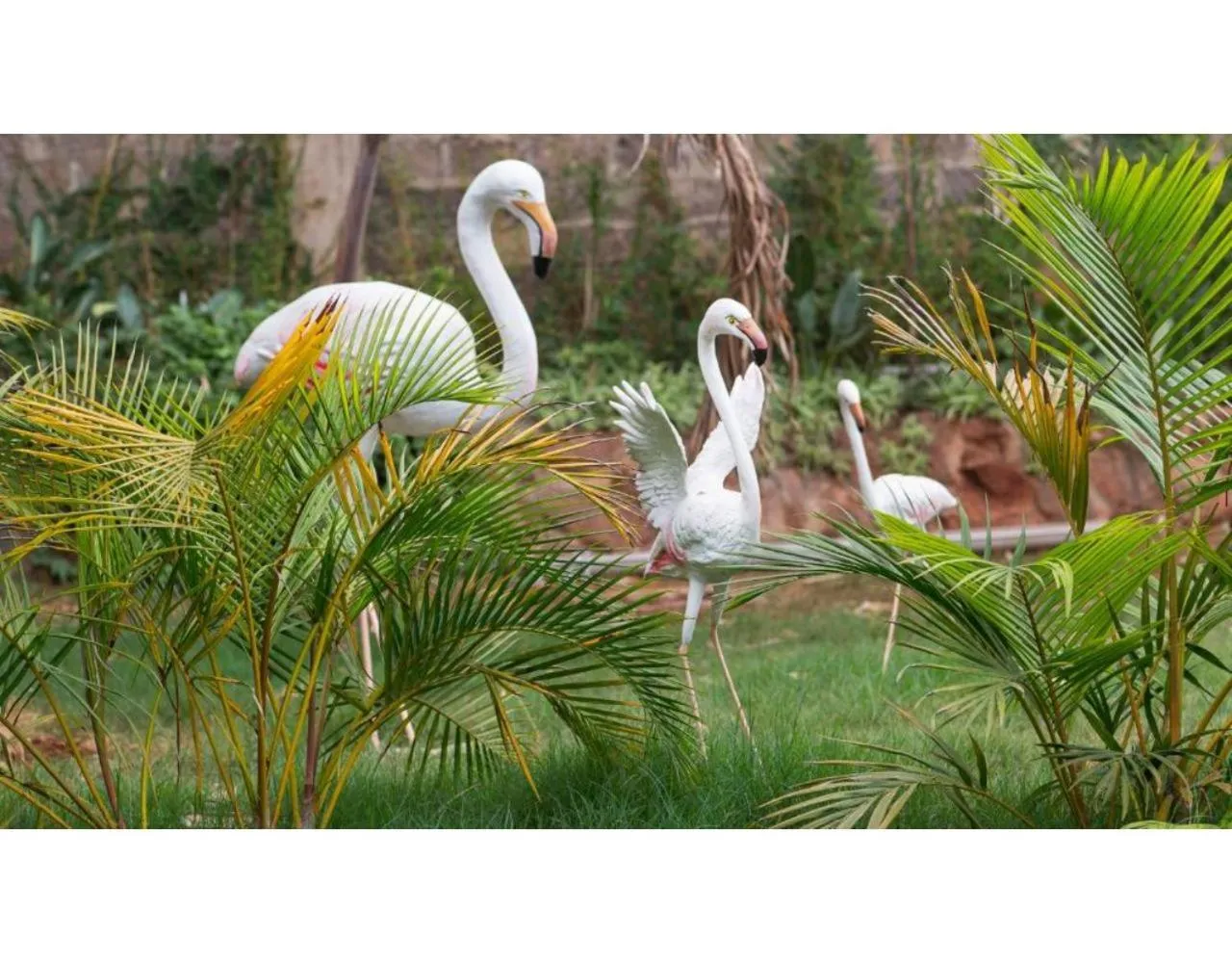 Decorative detail in Tobriana