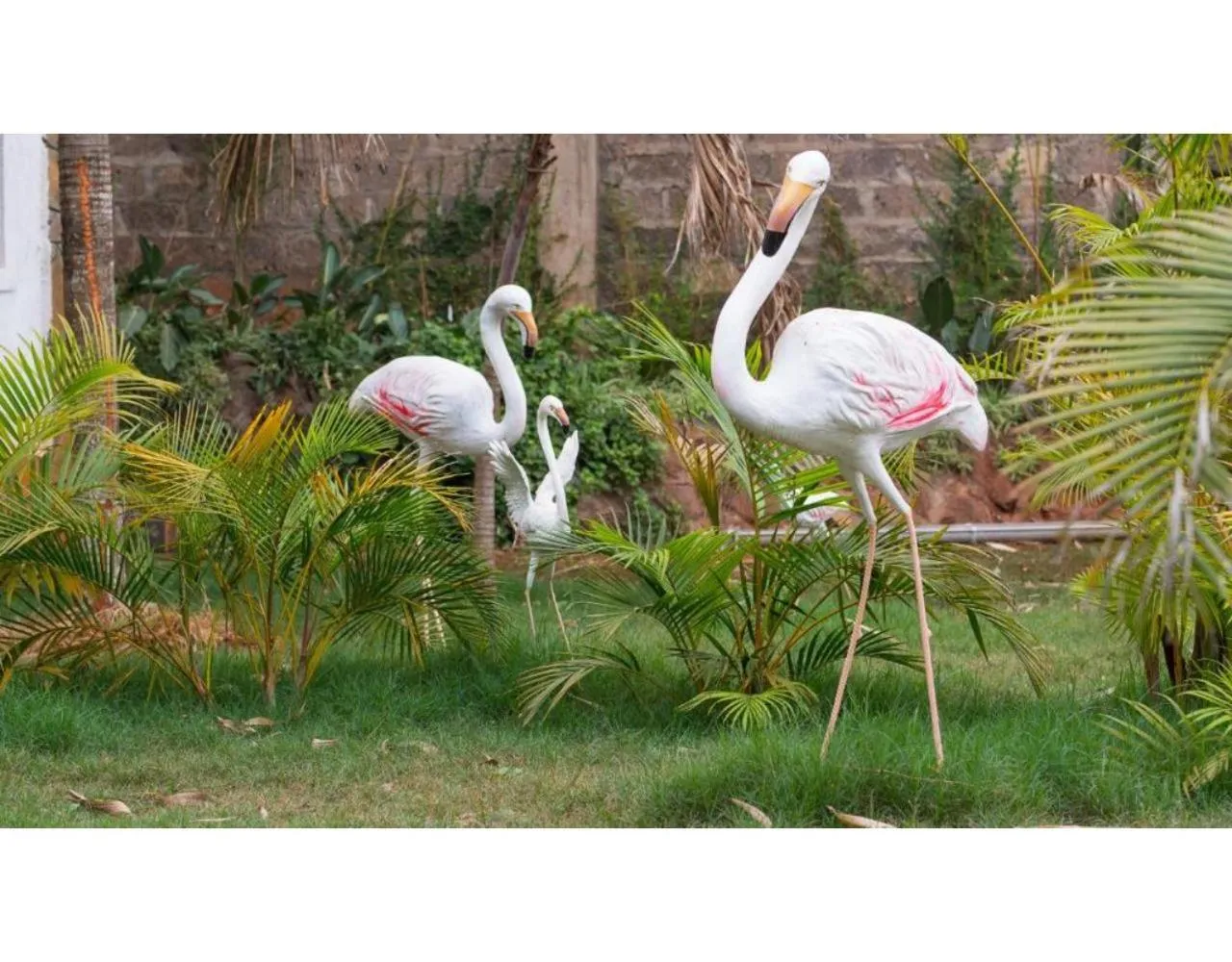 Decorative detail in Tobriana