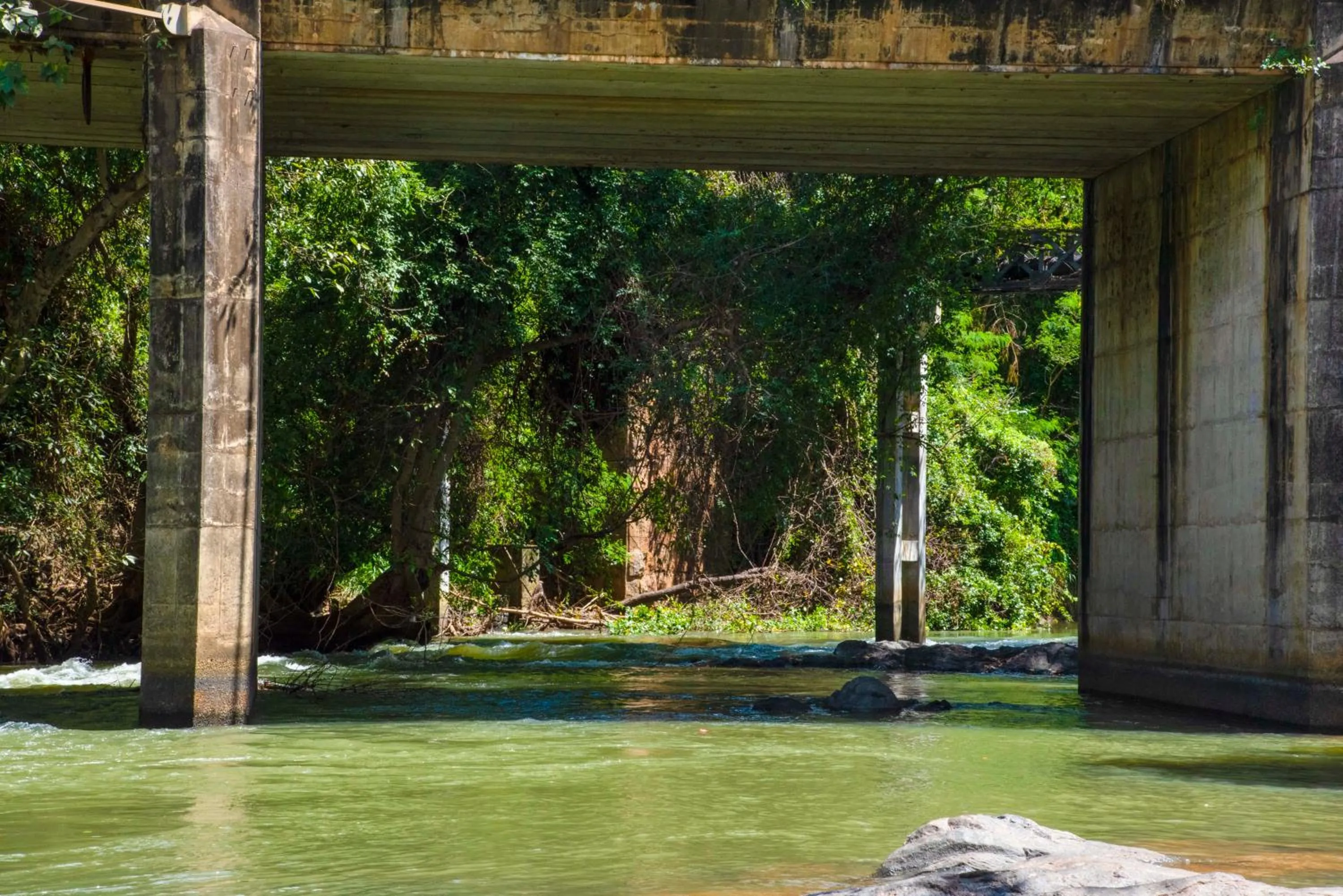 Natural landscape in The New Crown Hotel