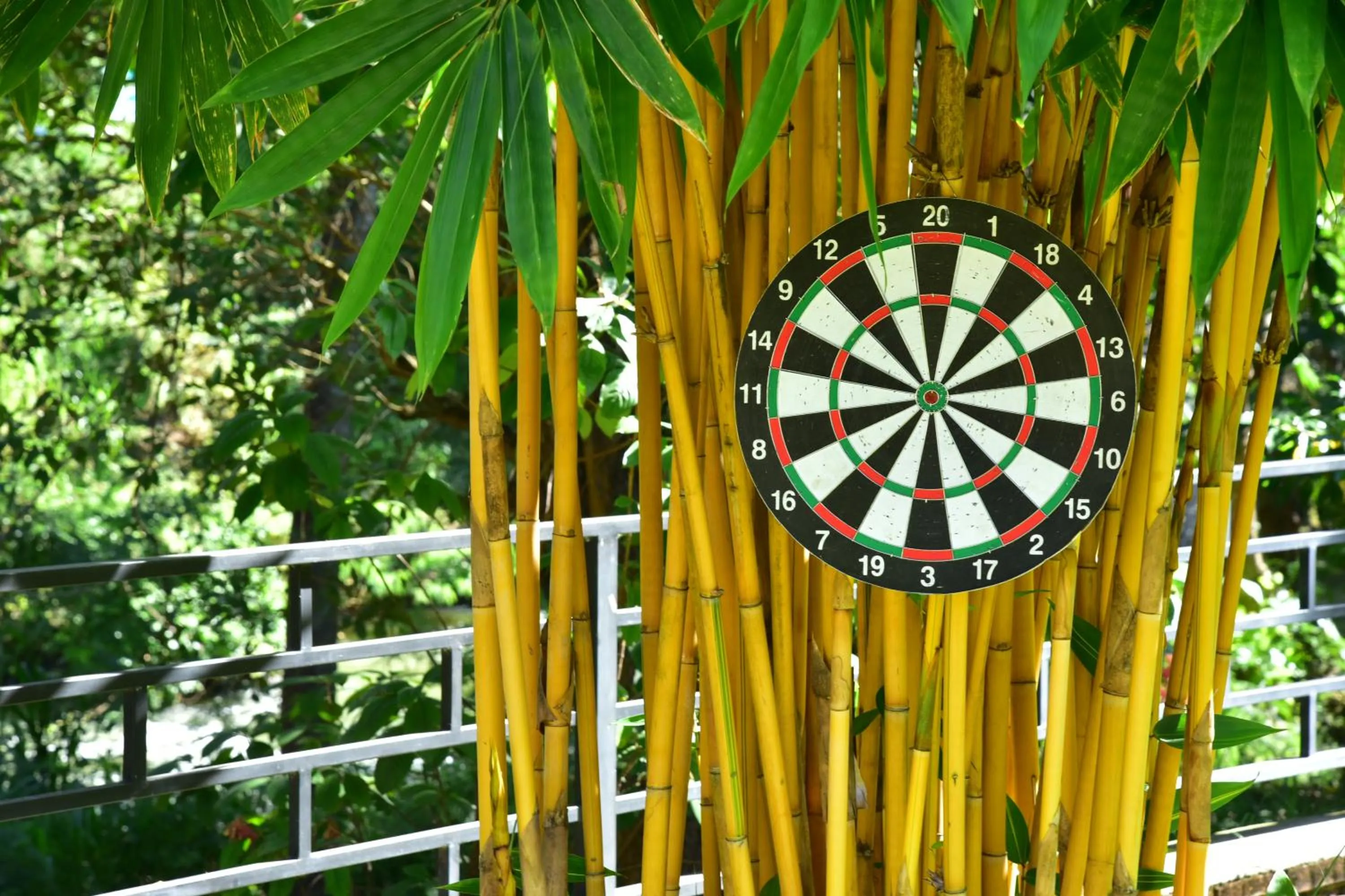 Day in The New Crown Hotel