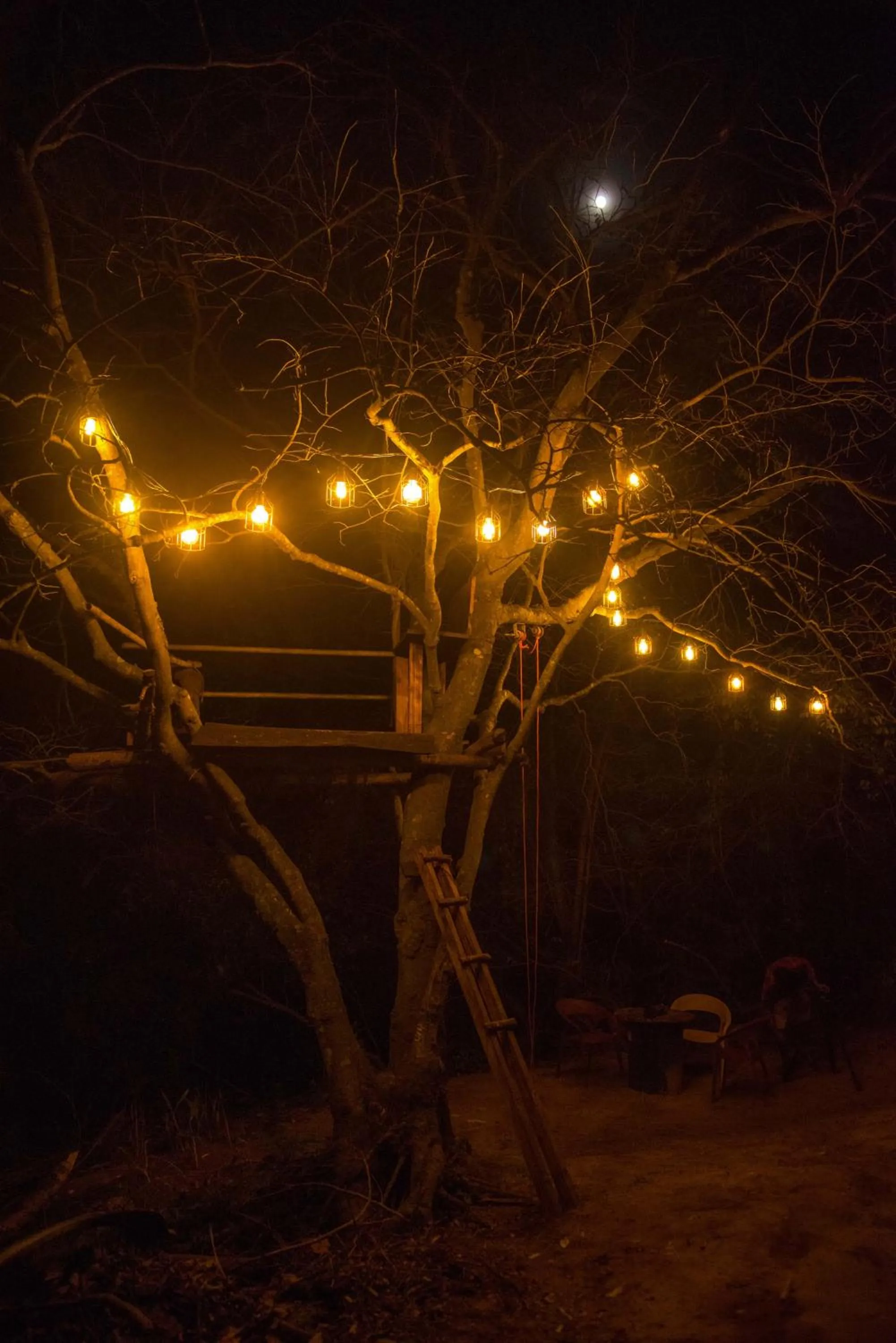 Night in The New Crown Hotel