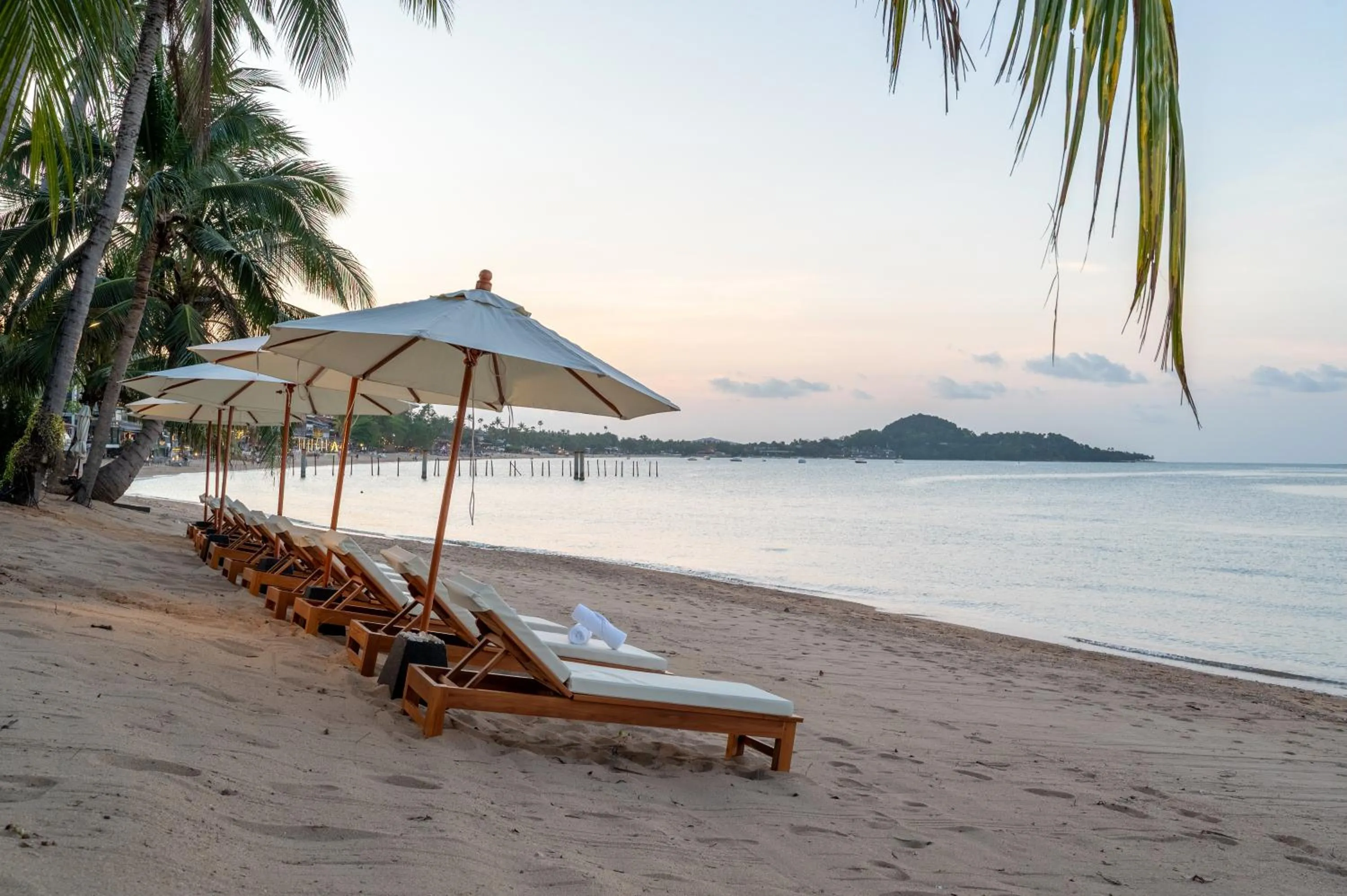 Natural landscape in Baan Bophut Beach Hotel Samui - SHA Extra Plus
