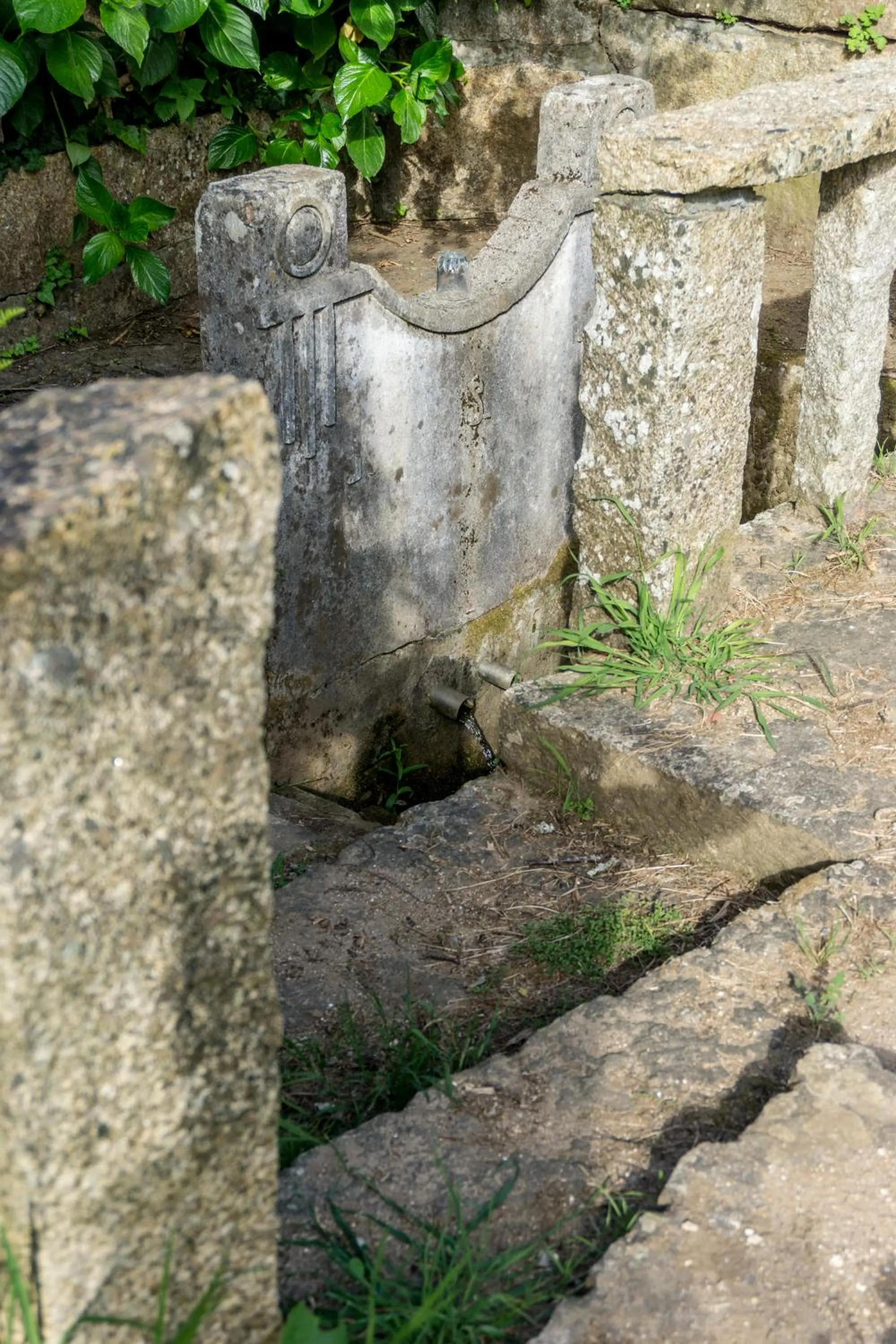 Garden in Casa Codesal Apartamentos