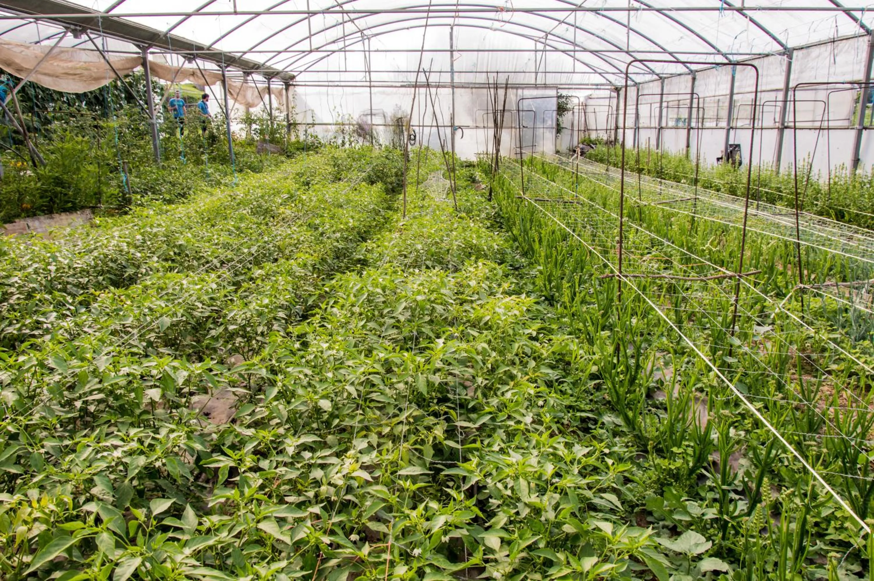 Other in Casa Codesal Apartamentos