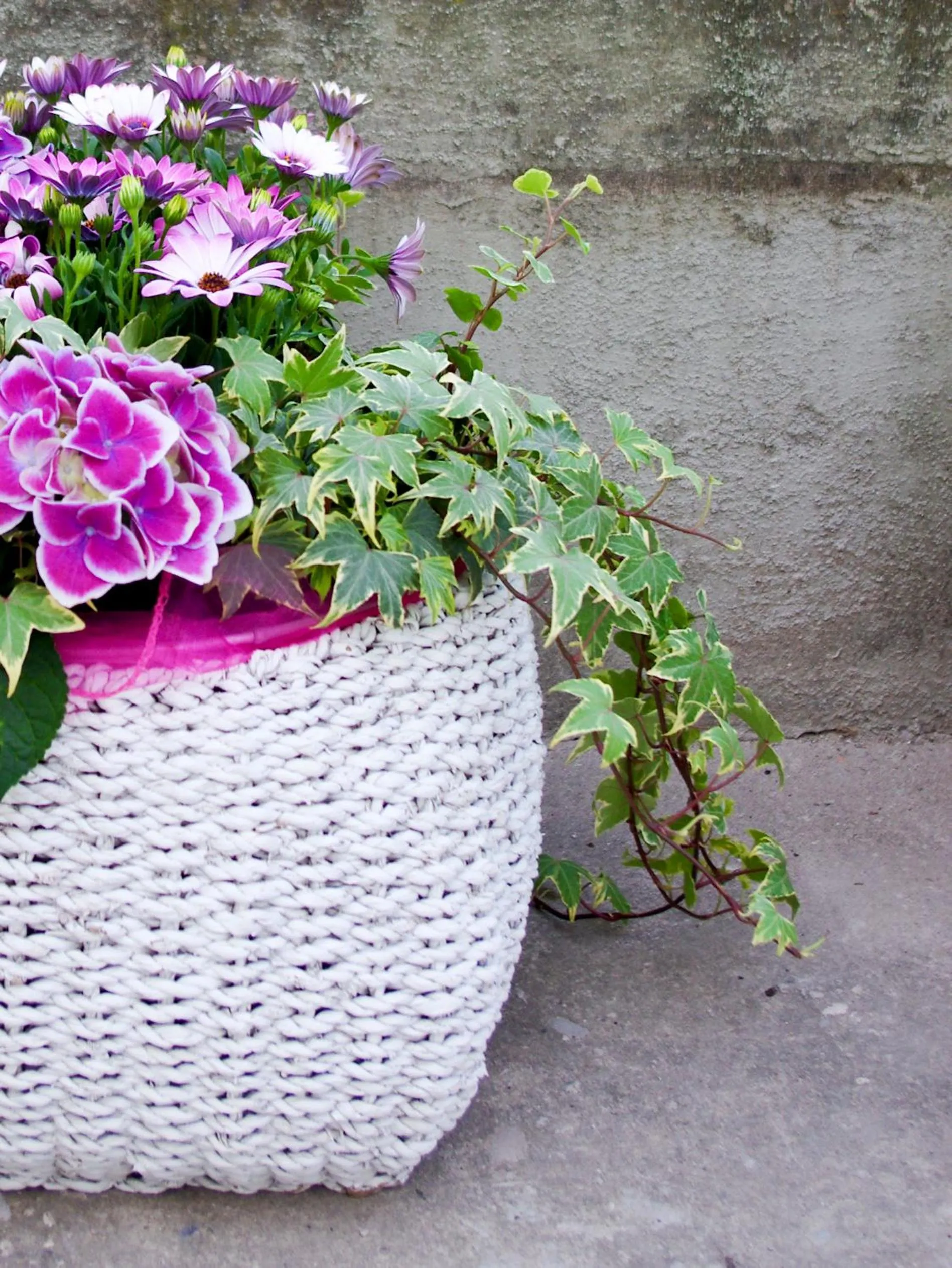 Garden in B&B dai Carari