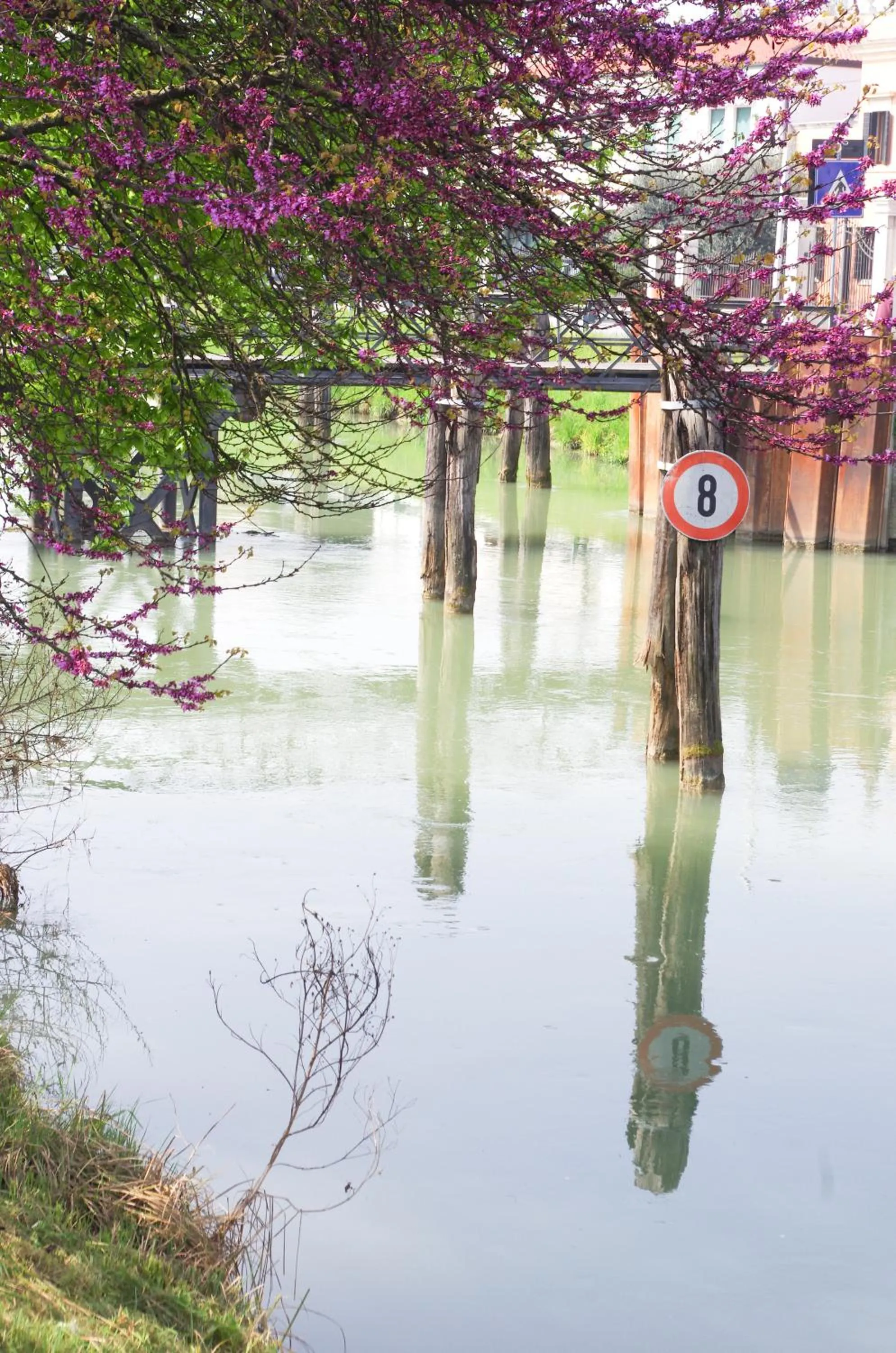 Nearby landmark in B&B dai Carari