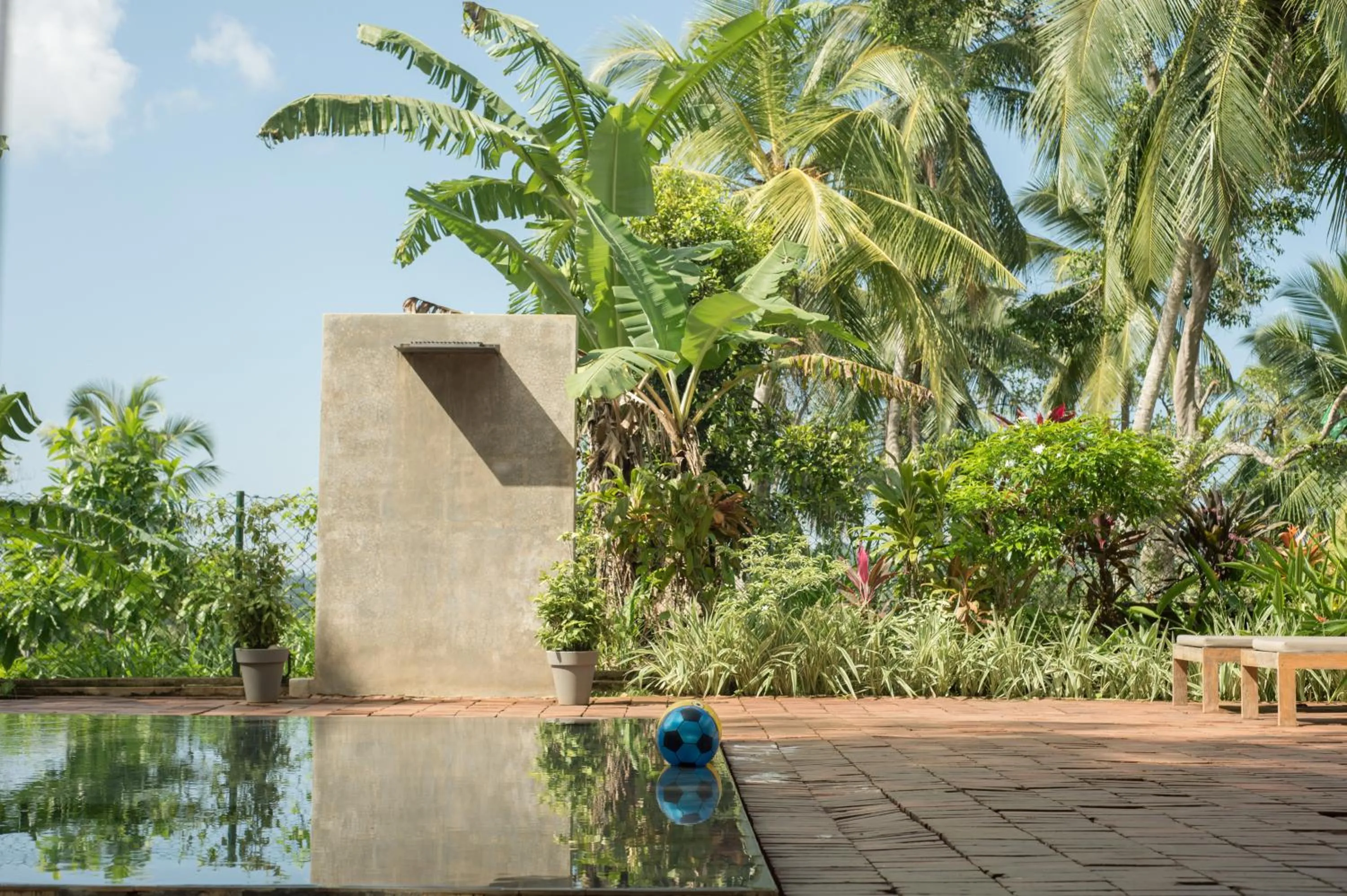 Garden in Villa Amma Erna - Galle