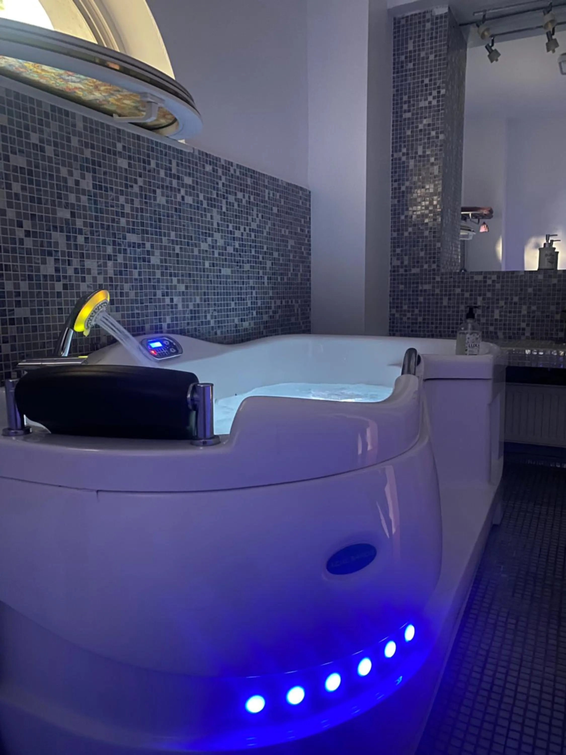 Luxuria Central Villa Bucharest