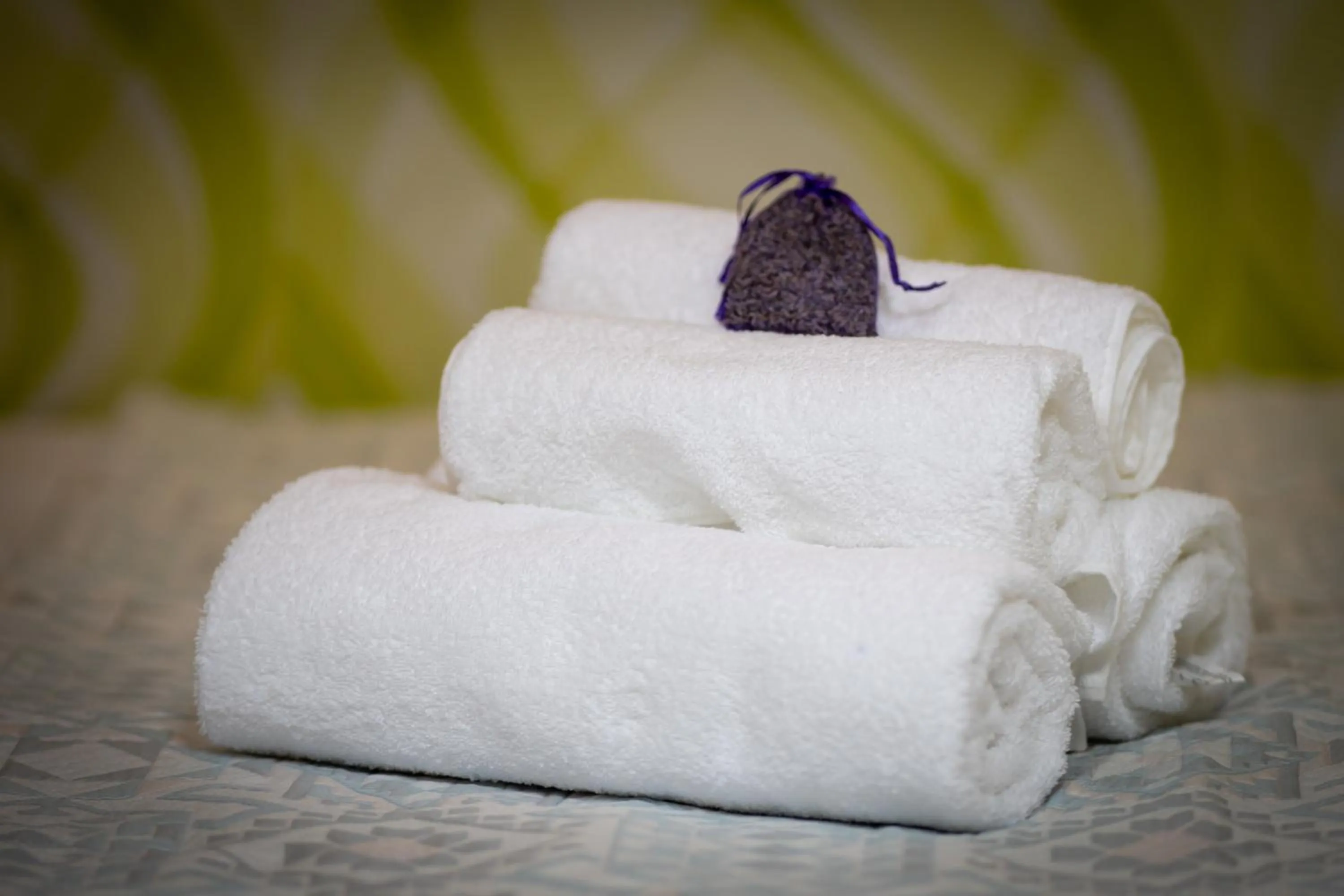 Luxuria Central Villa Bucharest