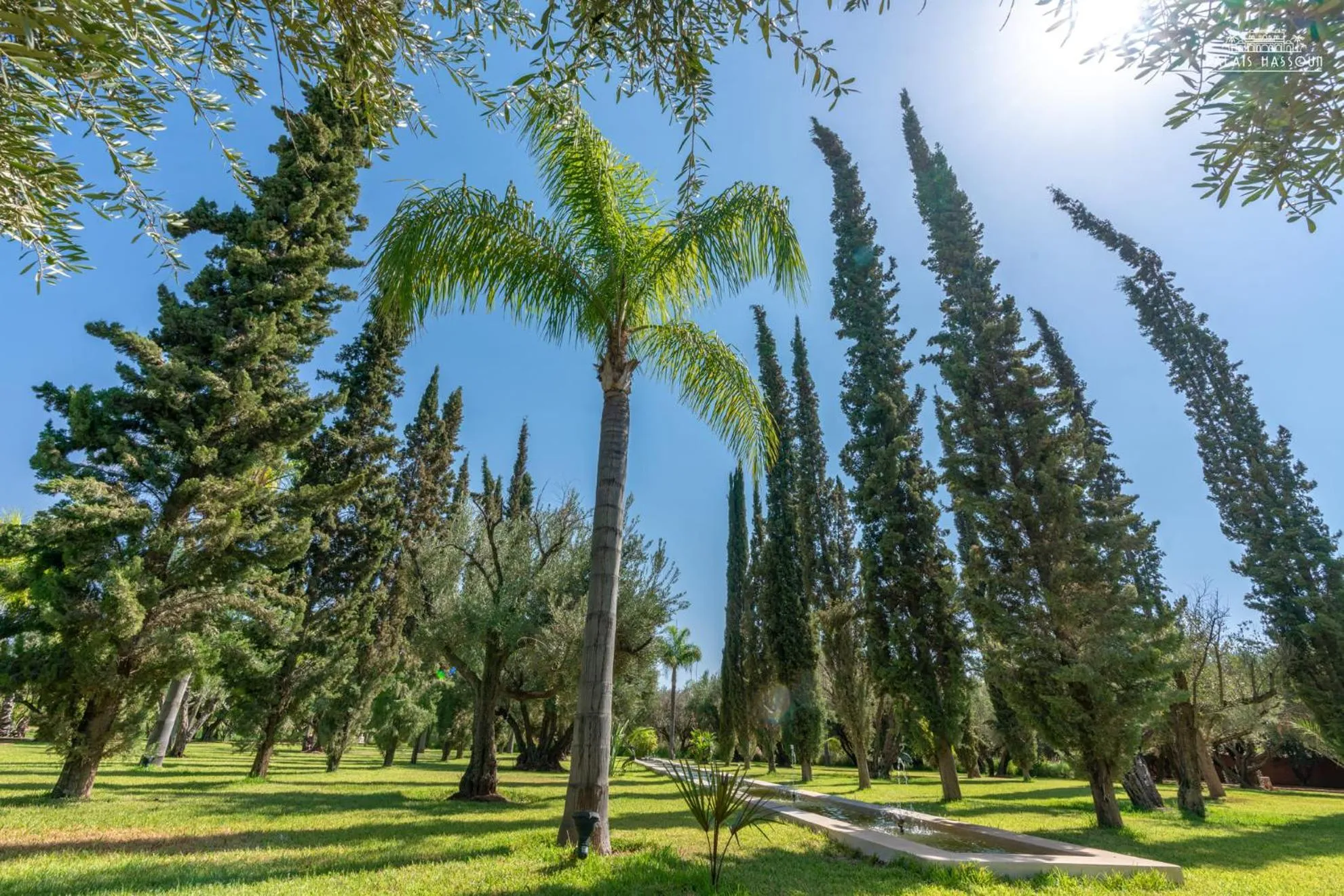 Garden view in Palais Hassoun Marrakech