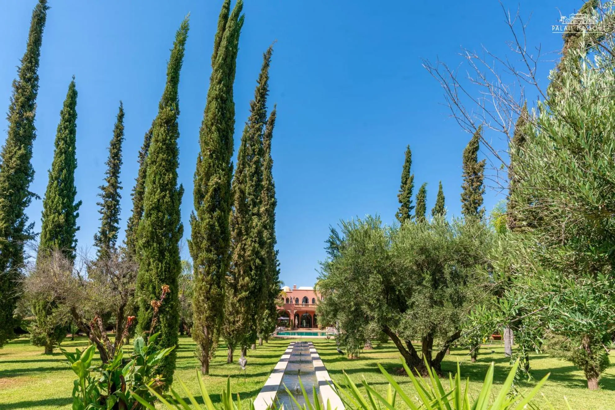 Pool view in Palais Hassoun Marrakech