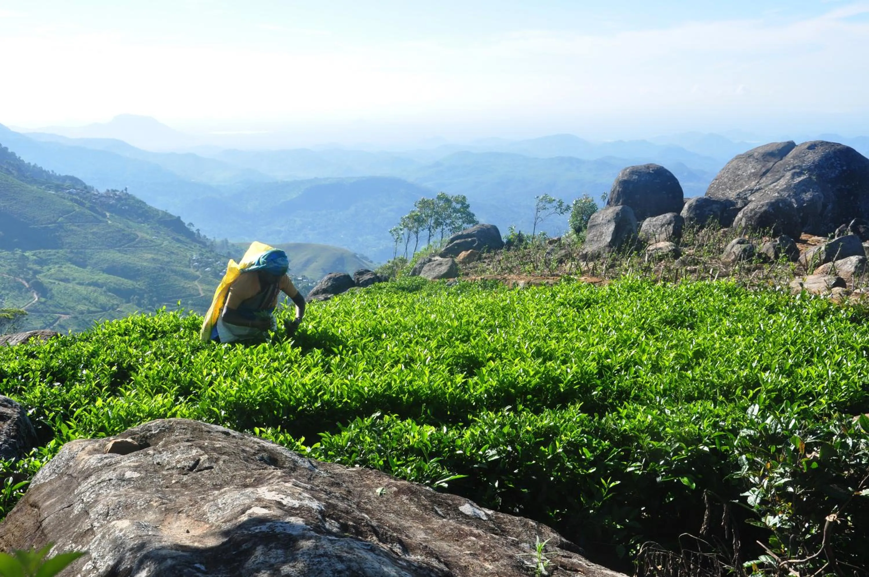 People in Clouds Holiday Bungalow