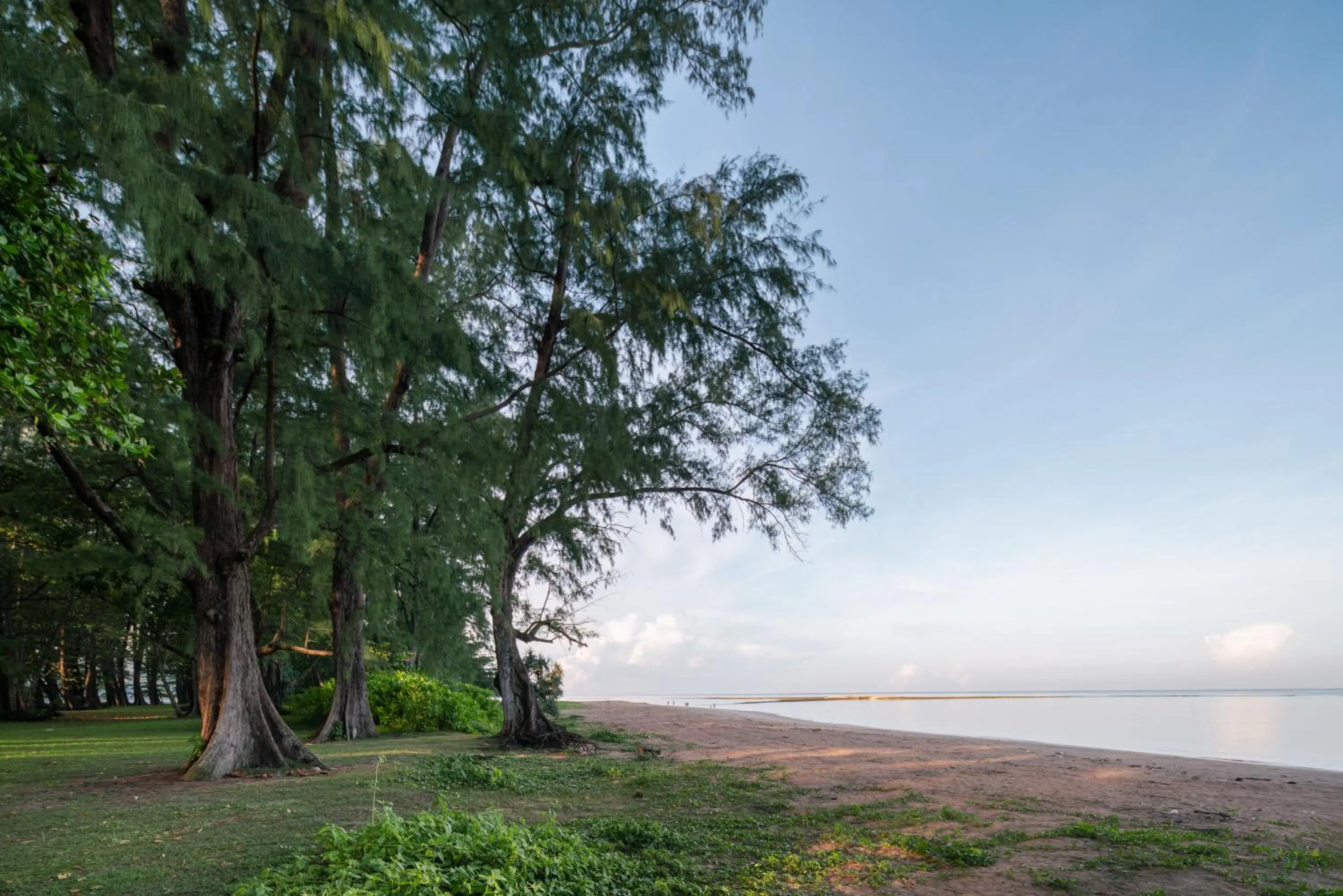 Natural landscape in Chao Wilai Residence I Naiyang Beach I HKT Airport