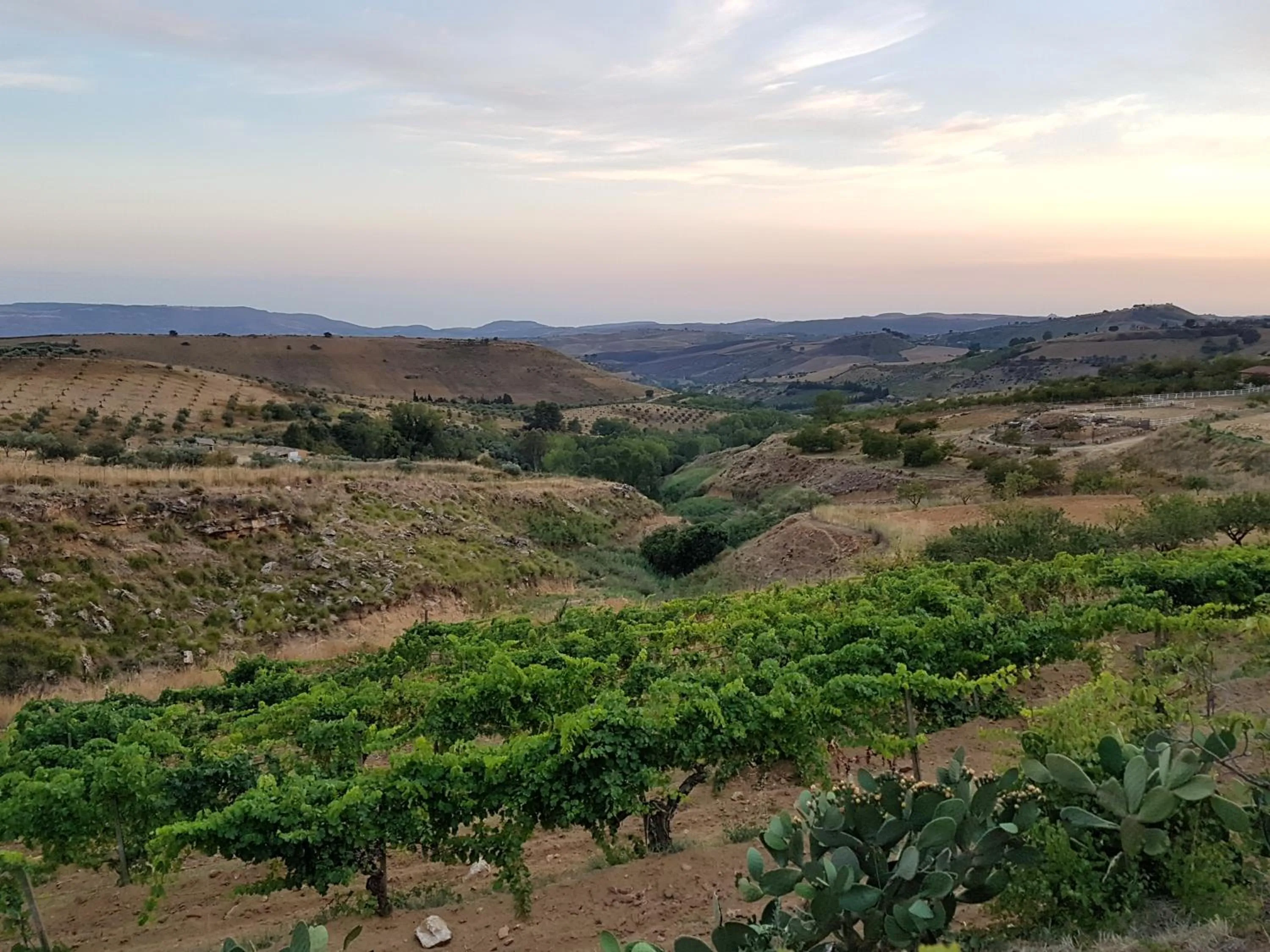 View (from property/room) in Agriturismo Il Drago