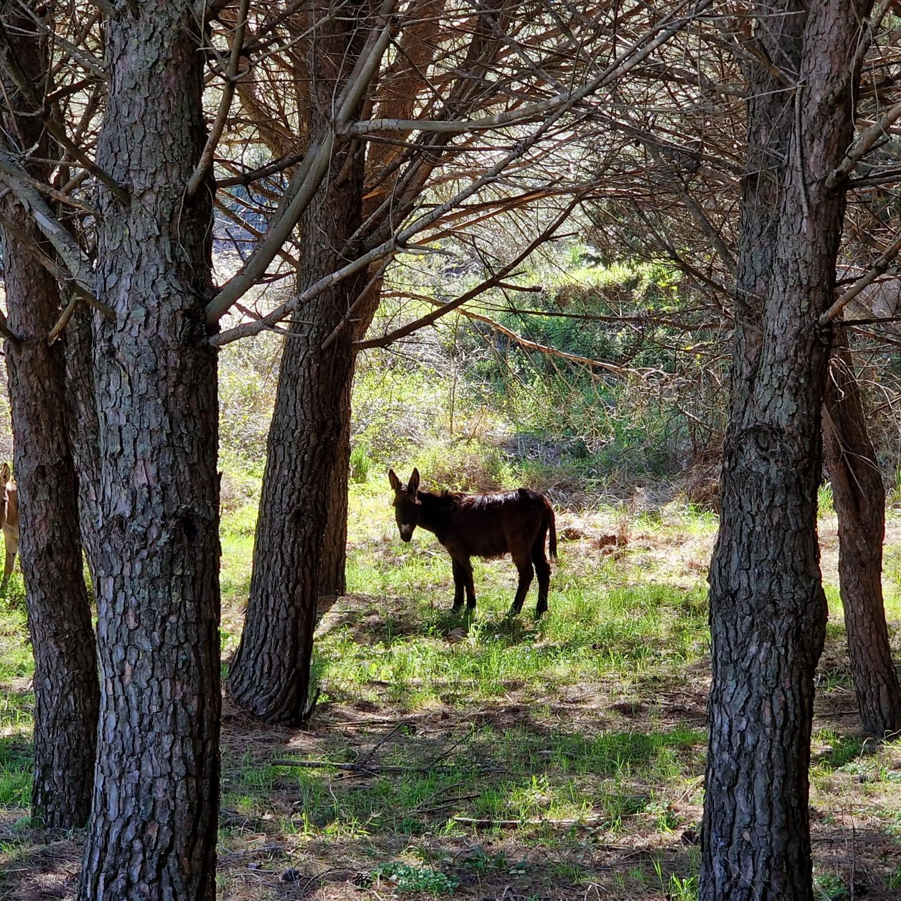 Agriturismo Il Drago