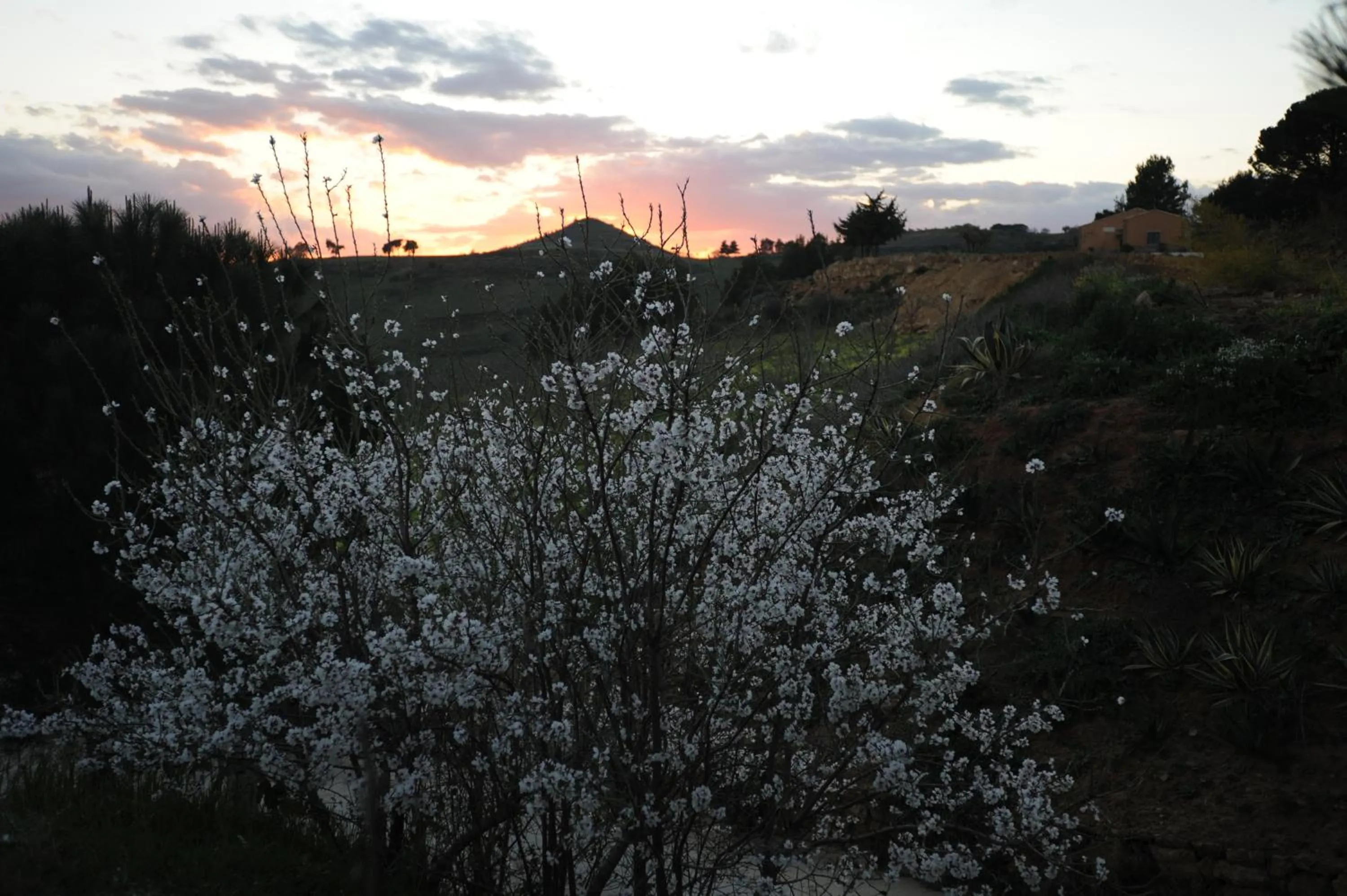 Agriturismo Il Drago