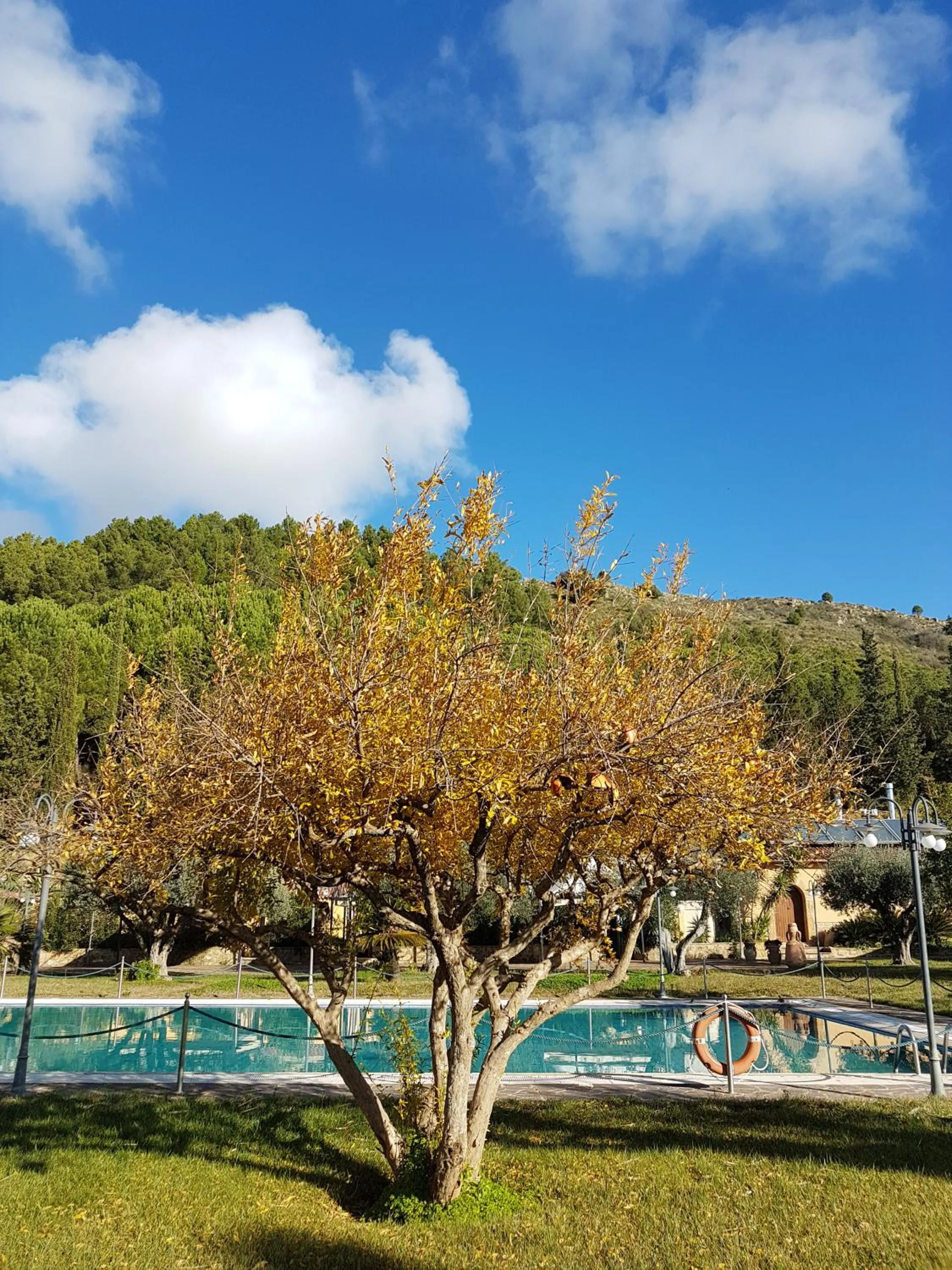 Agriturismo Il Drago