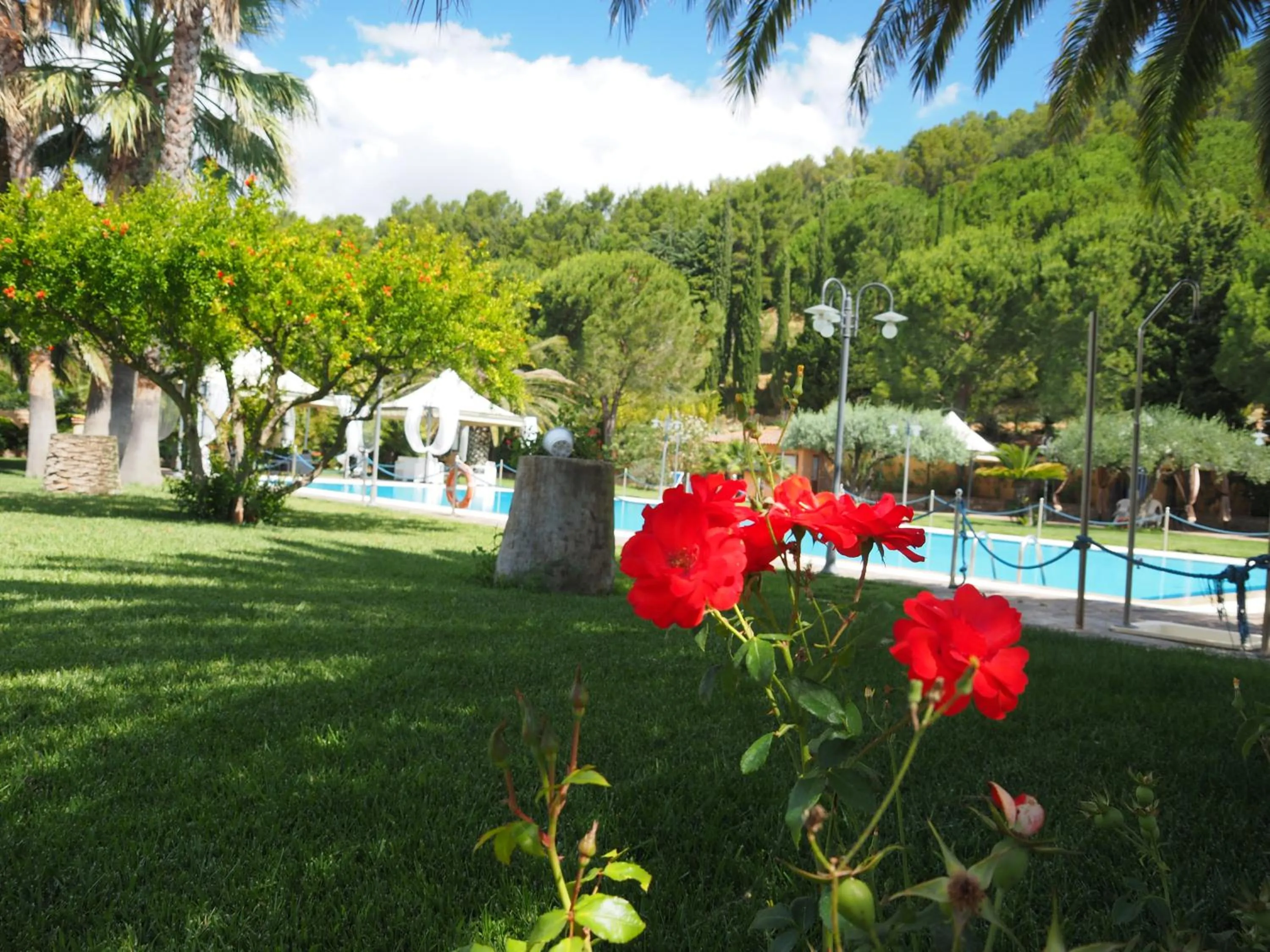 Agriturismo Il Drago