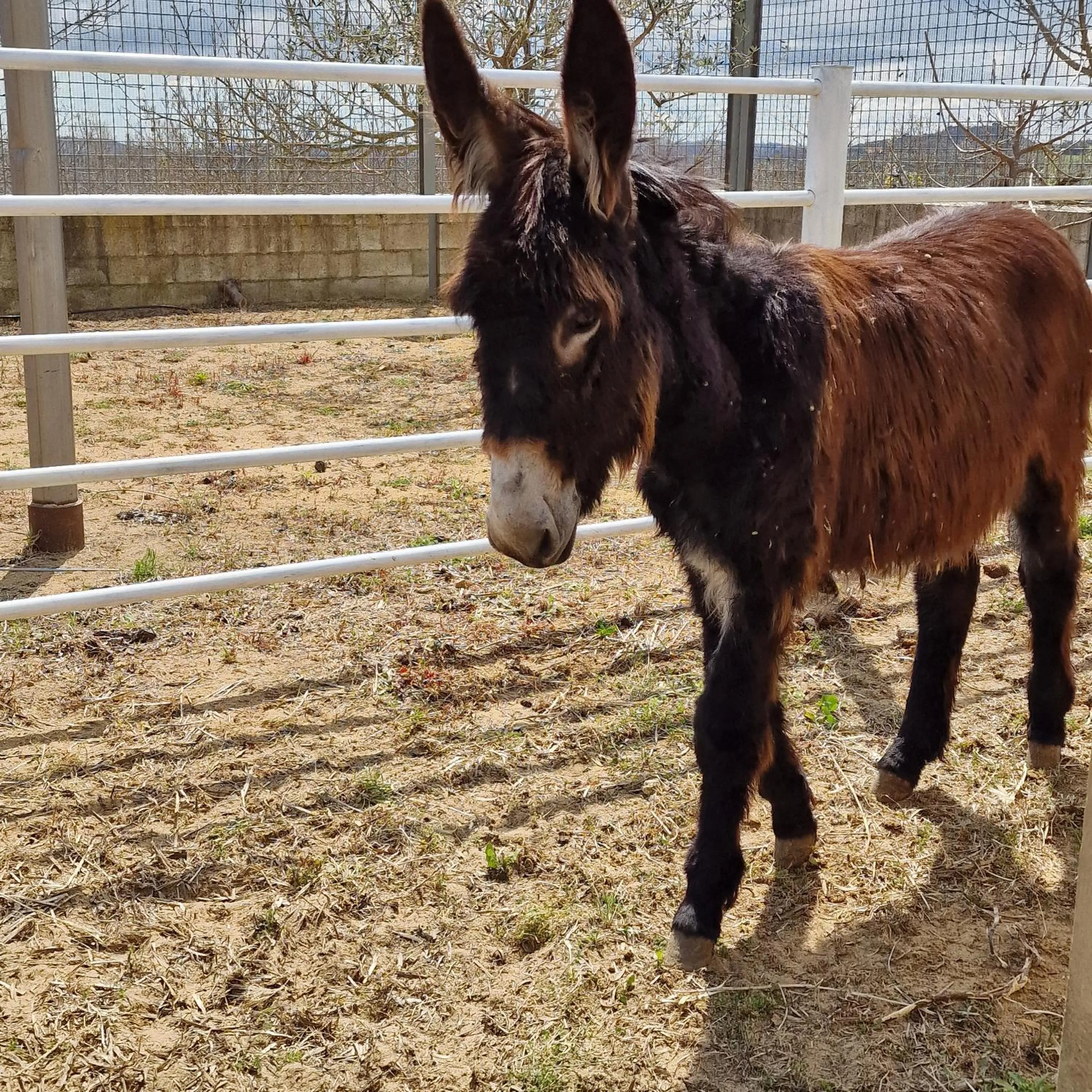 Agriturismo Il Drago