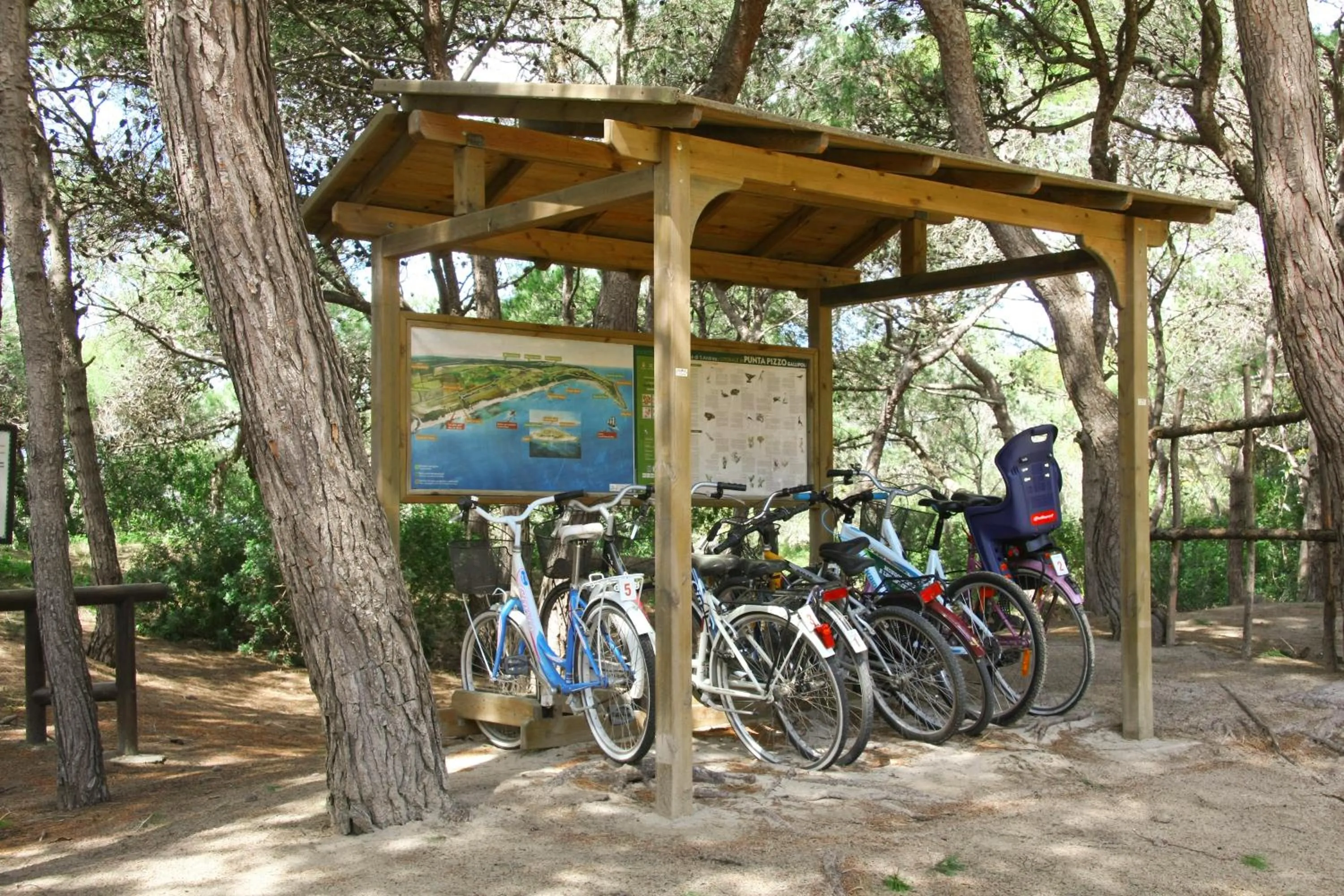 Cycling in Ecoresort Le Sirene - Caroli Hotels