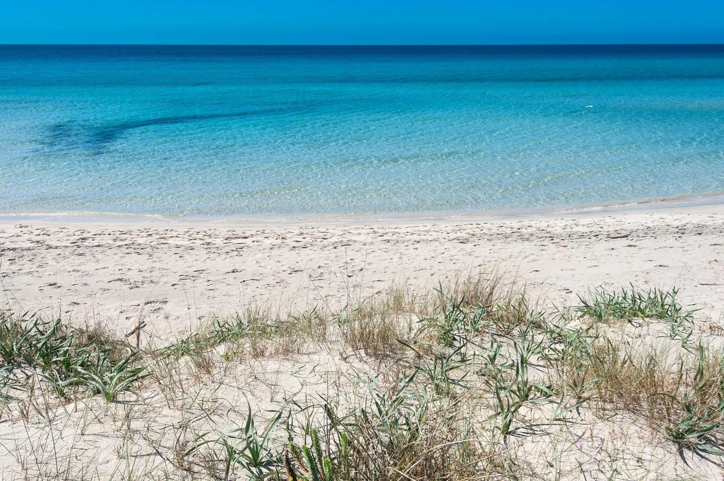 Beach in Ecoresort Le Sirene - Caroli Hotels