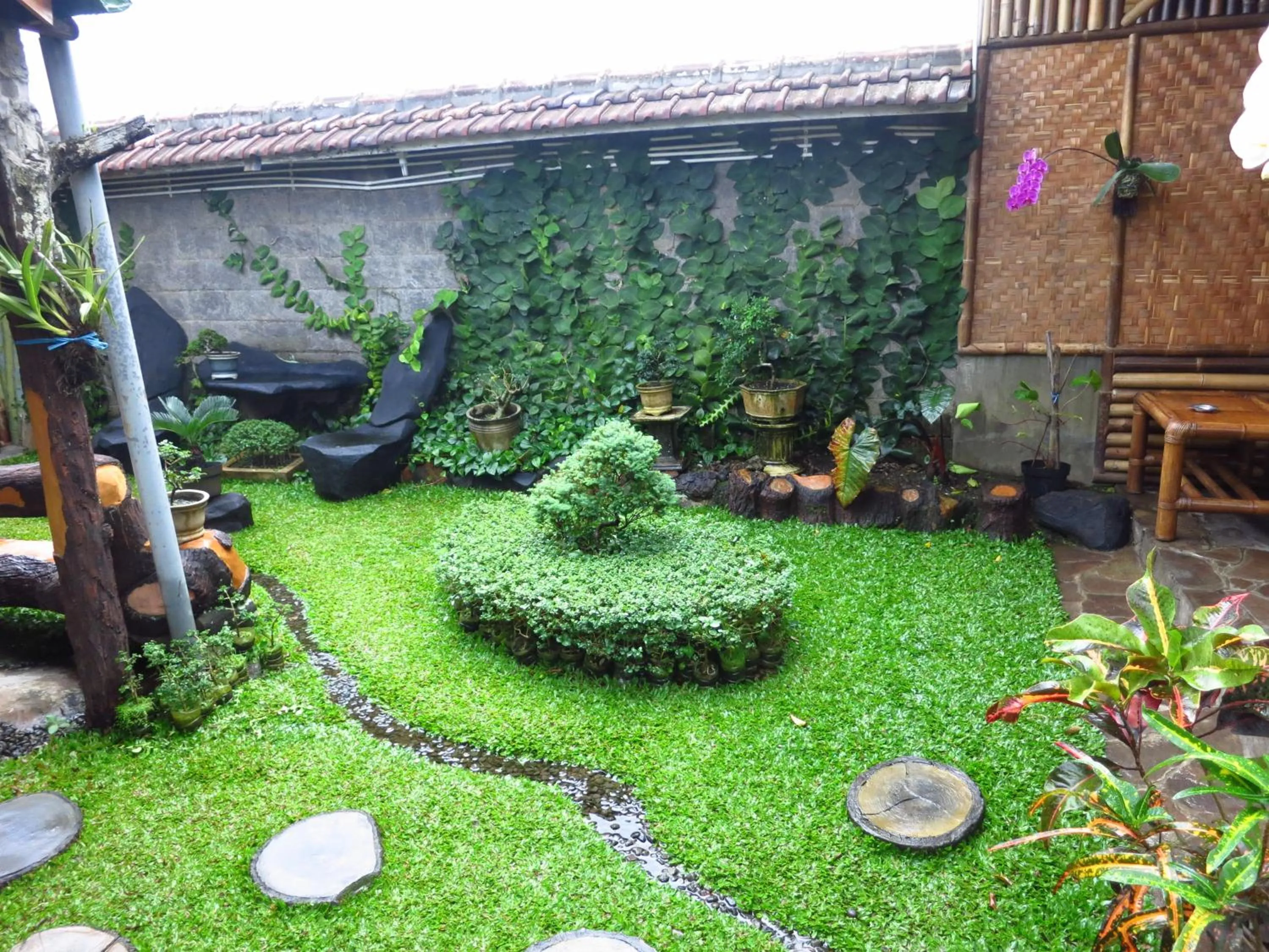 Garden in Enny's Guest House