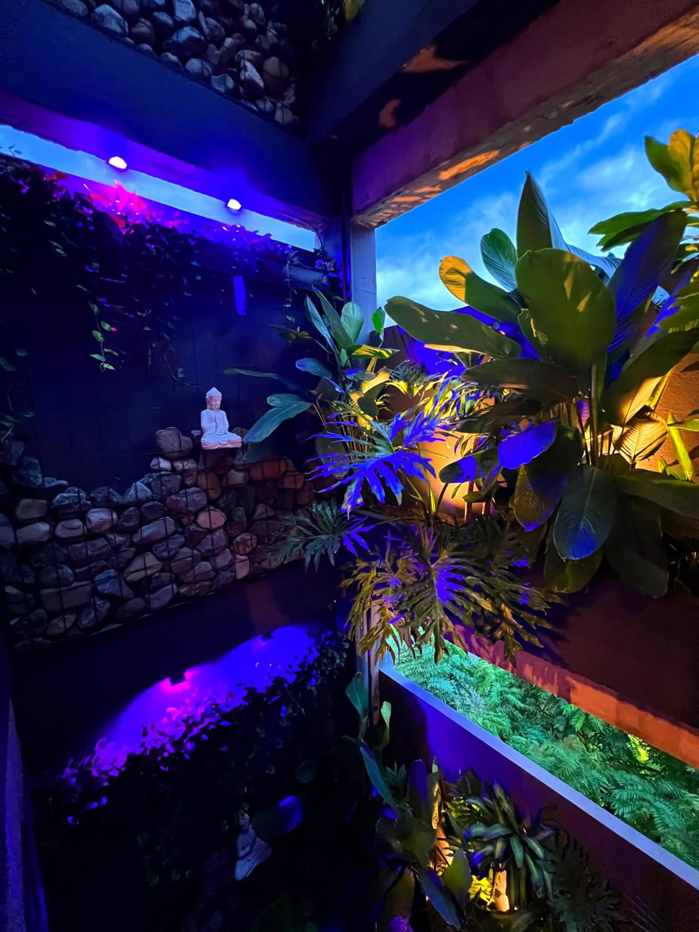 Garden in Hotel Zelva Negra