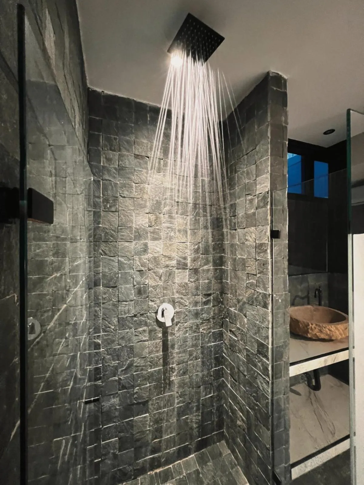 Shower in Hotel Zelva Negra