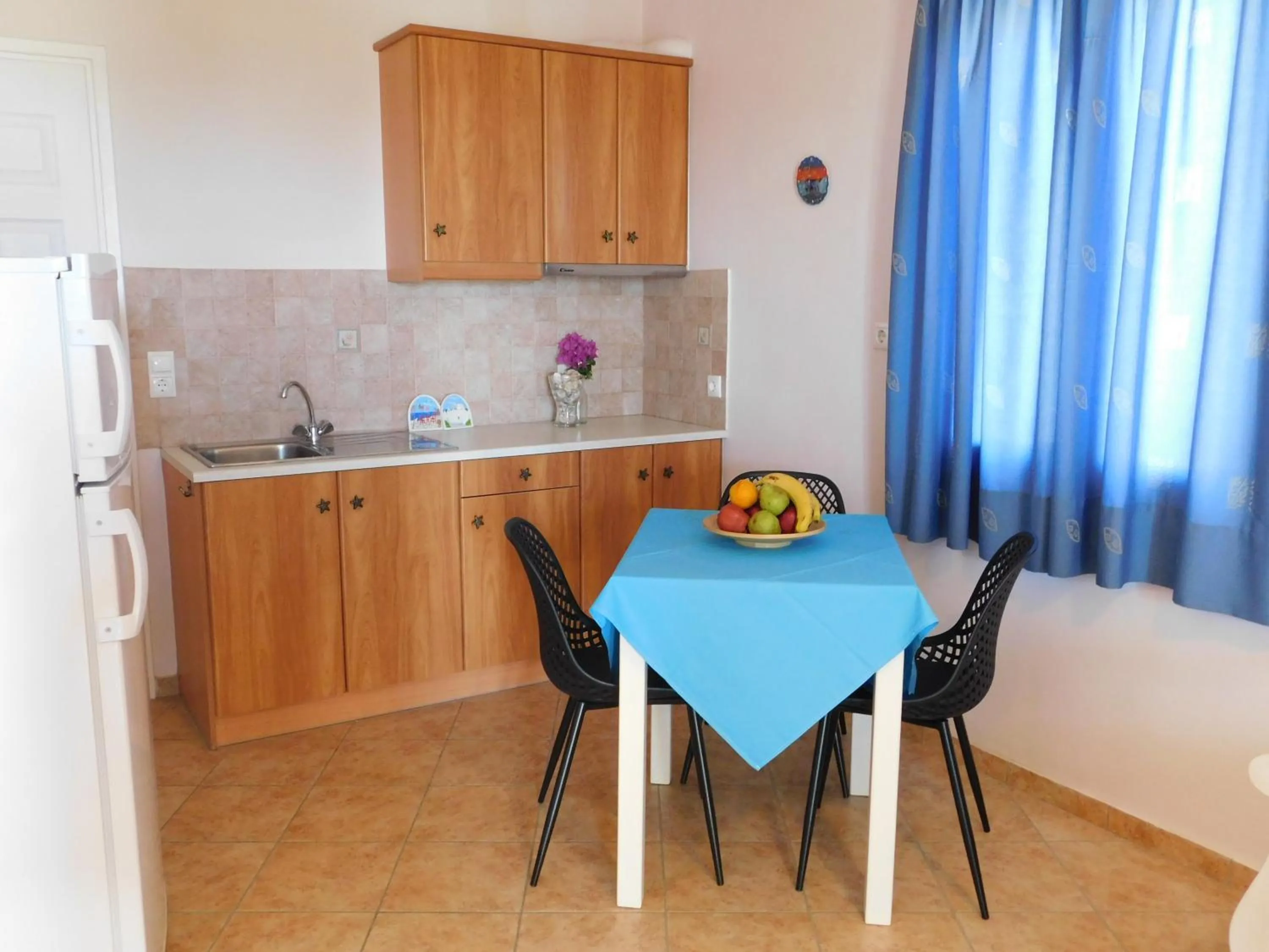 Kitchen or kitchenette in Akti Aegeou