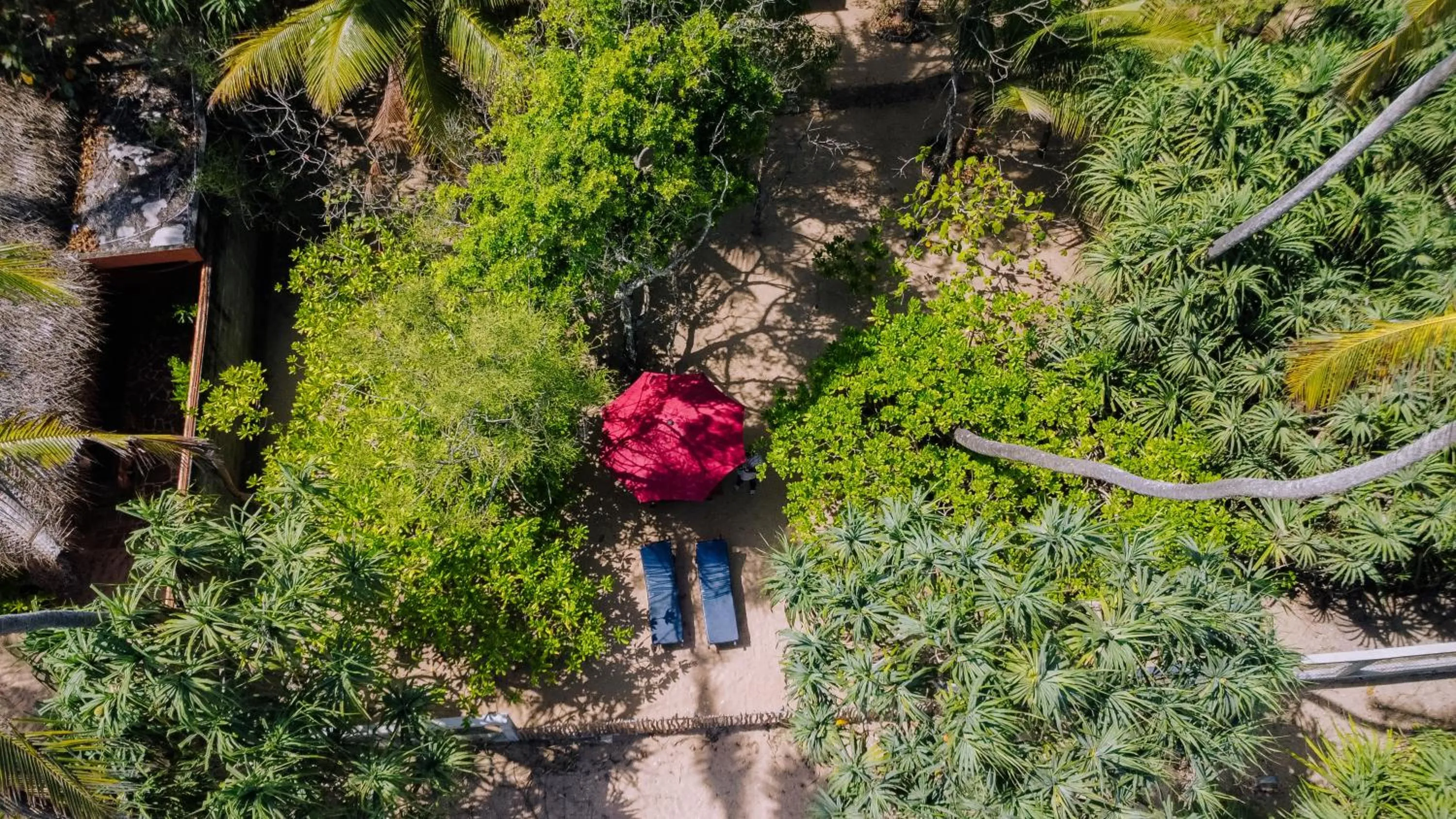 Property building in The Waves Beach Chalets