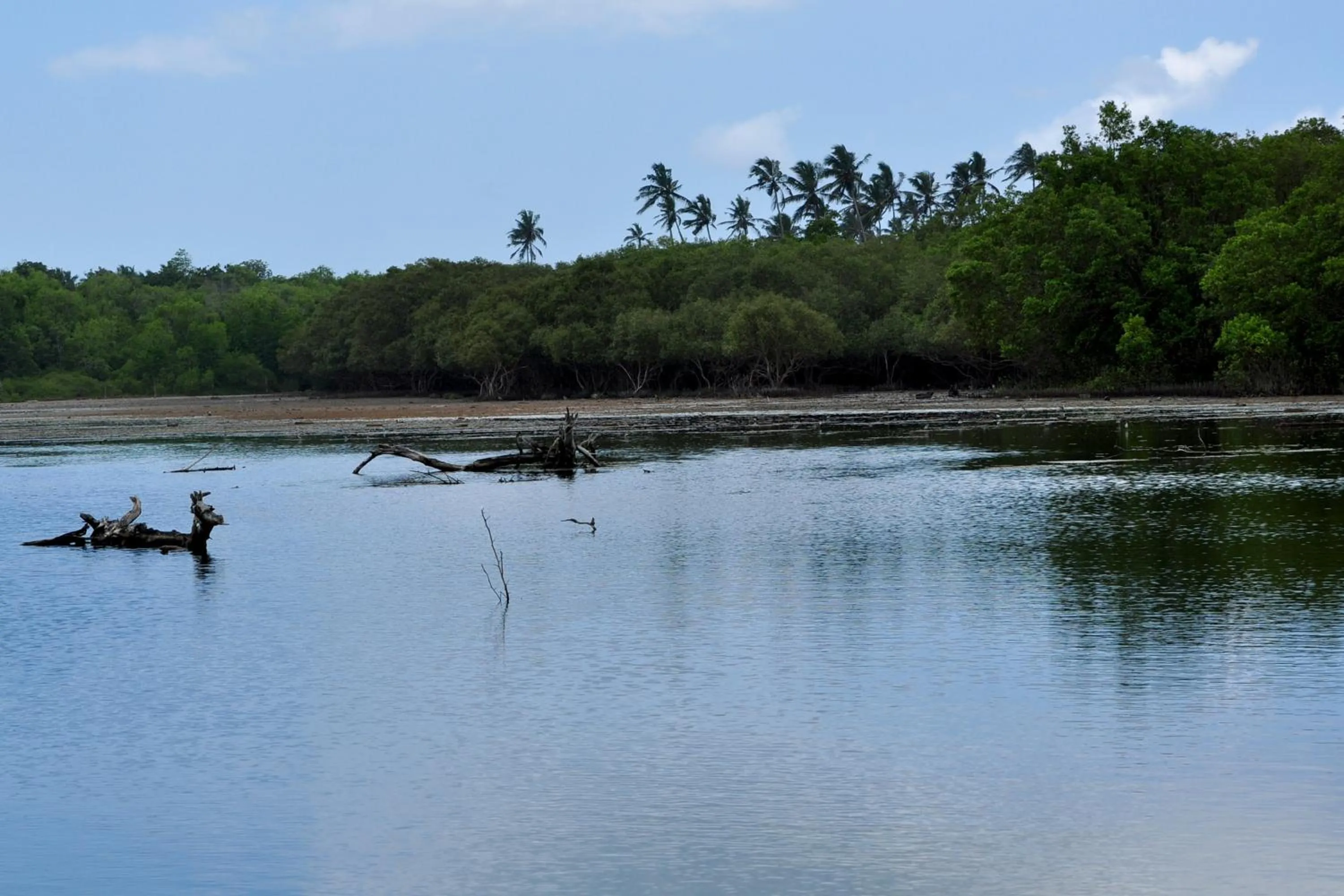Lake view in The Waves Beach Chalets
