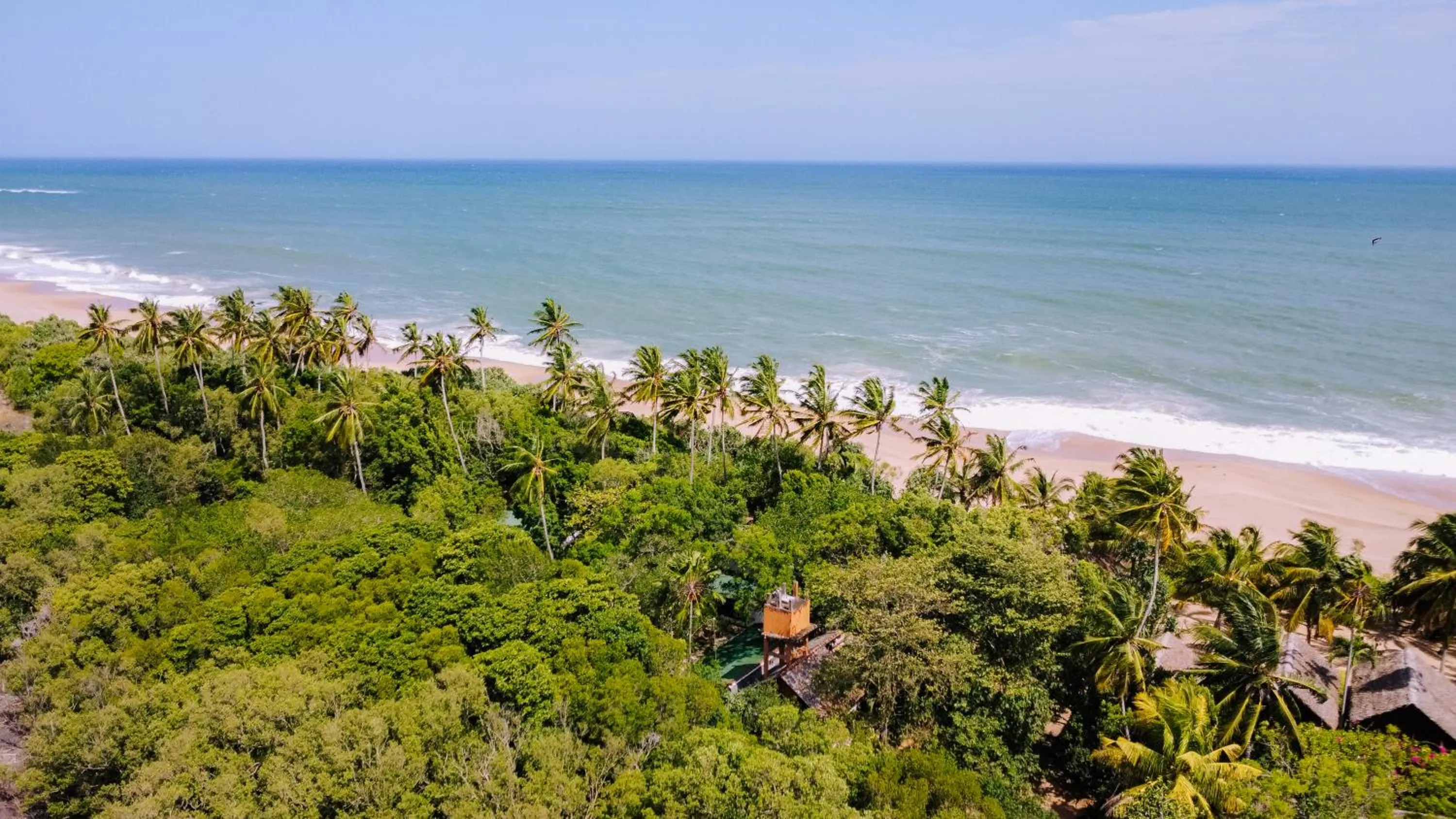 Beach in The Waves Beach Chalets