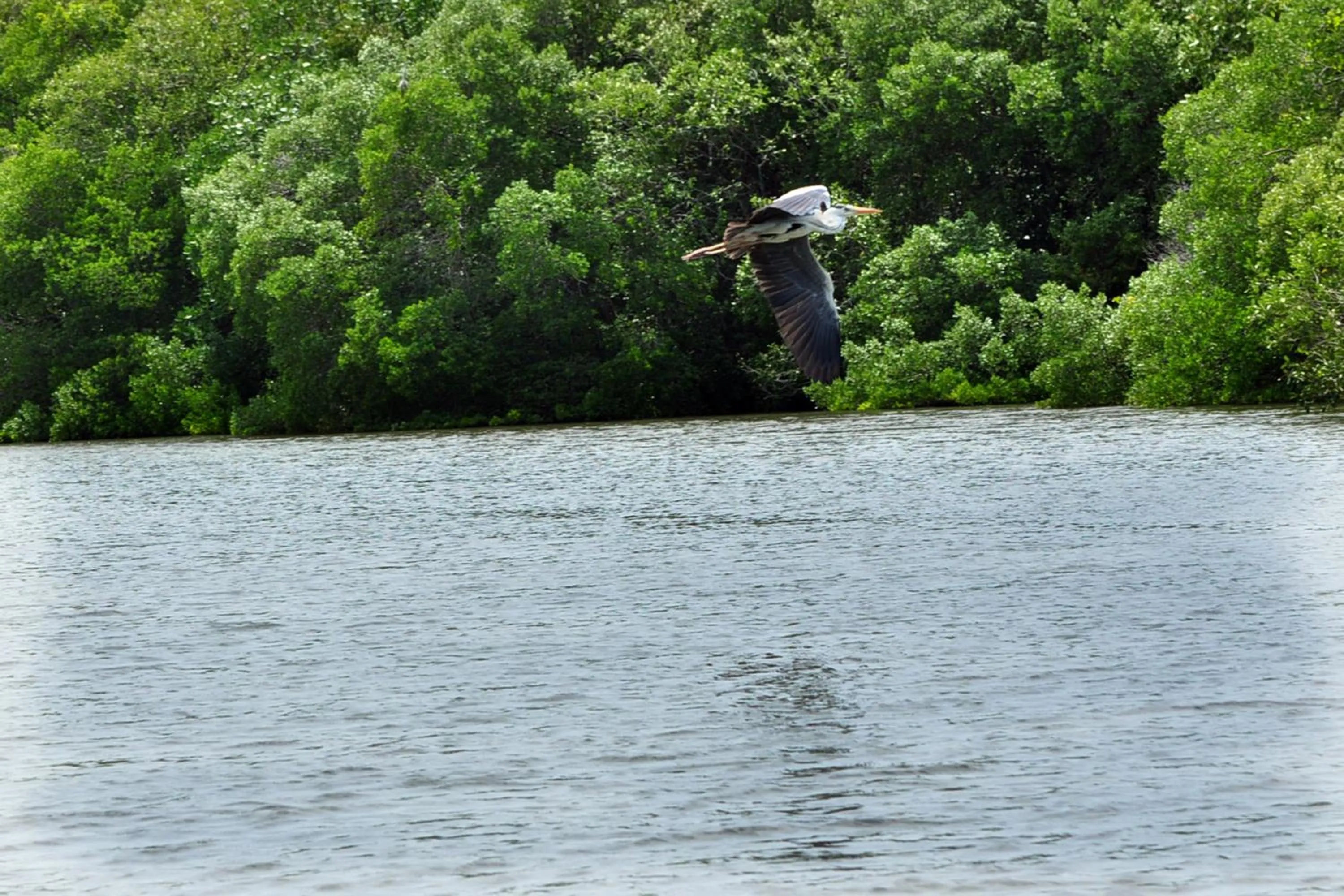 Neighbourhood in The Waves Beach Chalets