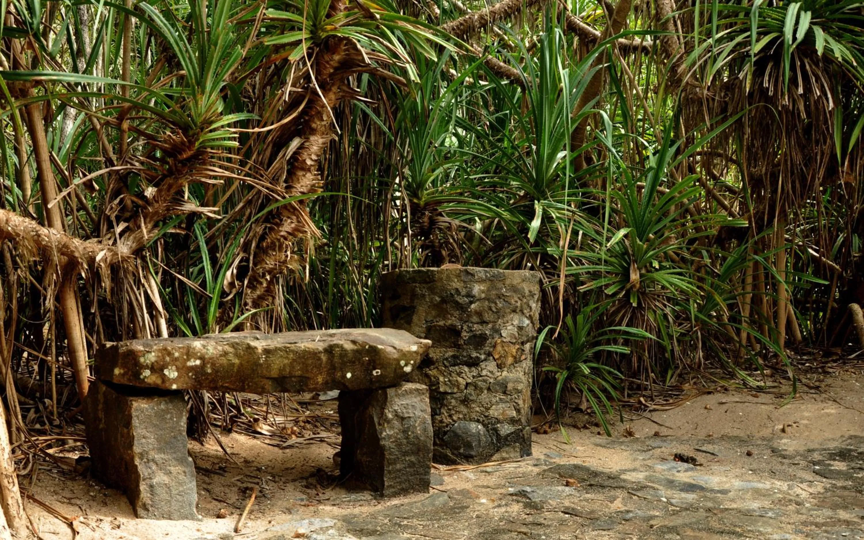 Garden in The Waves Beach Chalets