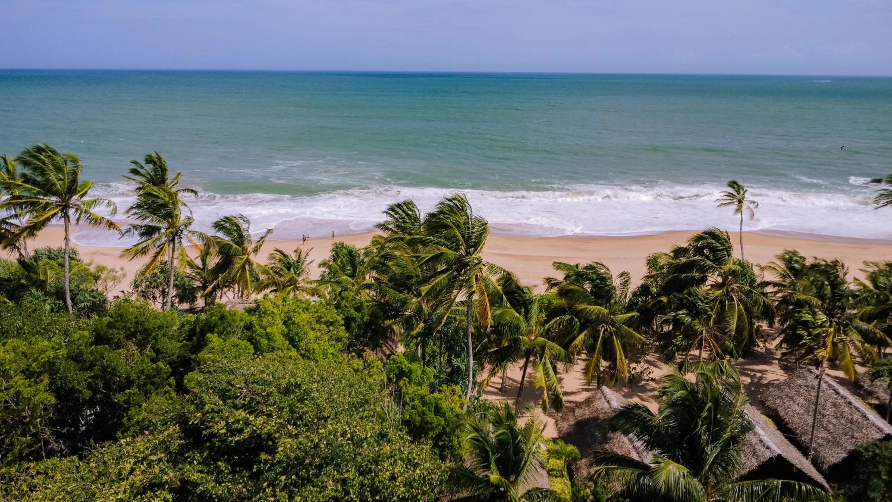 Beach in The Waves Beach Chalets