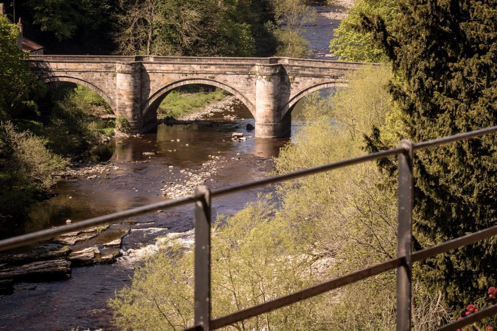 Activities in The unicorn