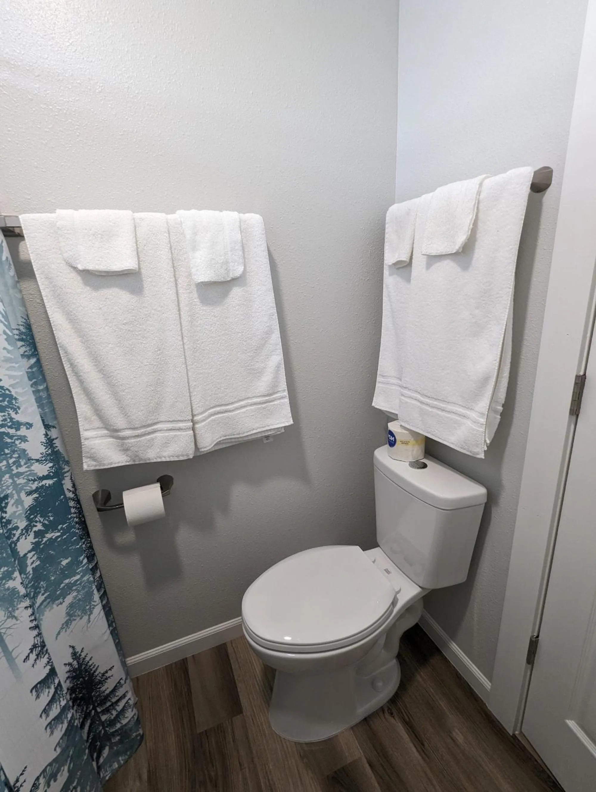 Toilet in Snowy Mountain Inn