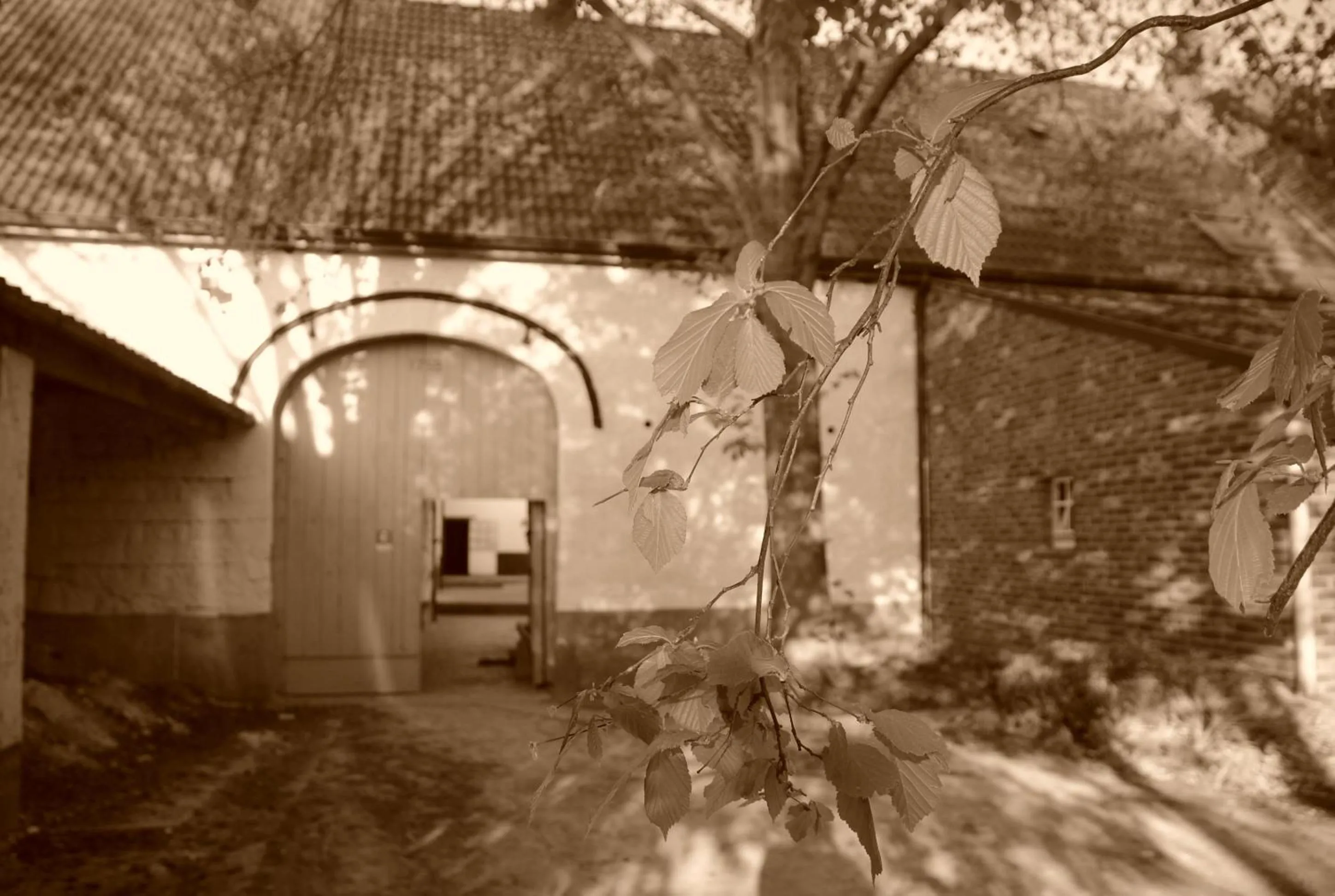 Facade/entrance in B&B De Oude Winning