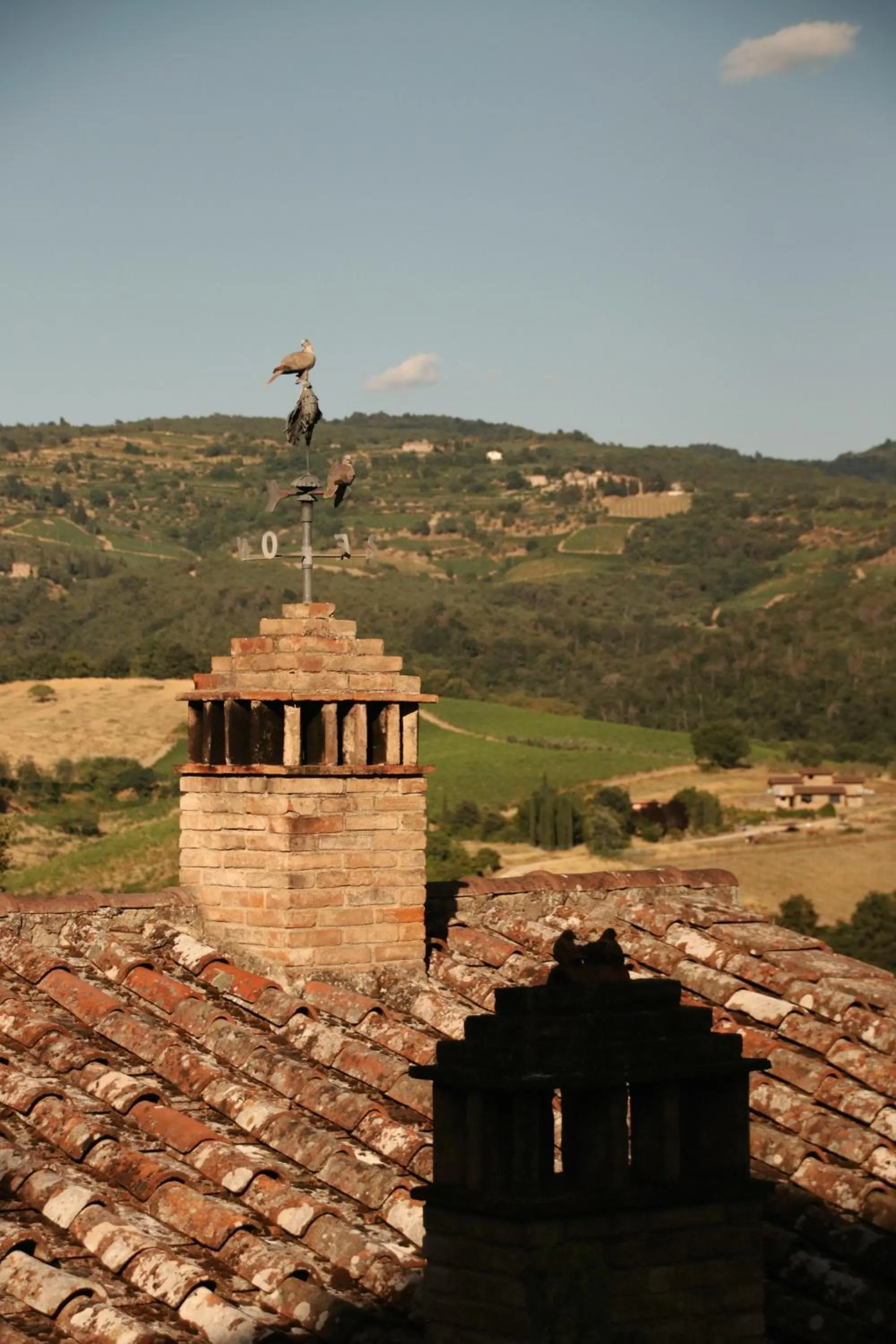 Decorative detail in Terre di Baccio