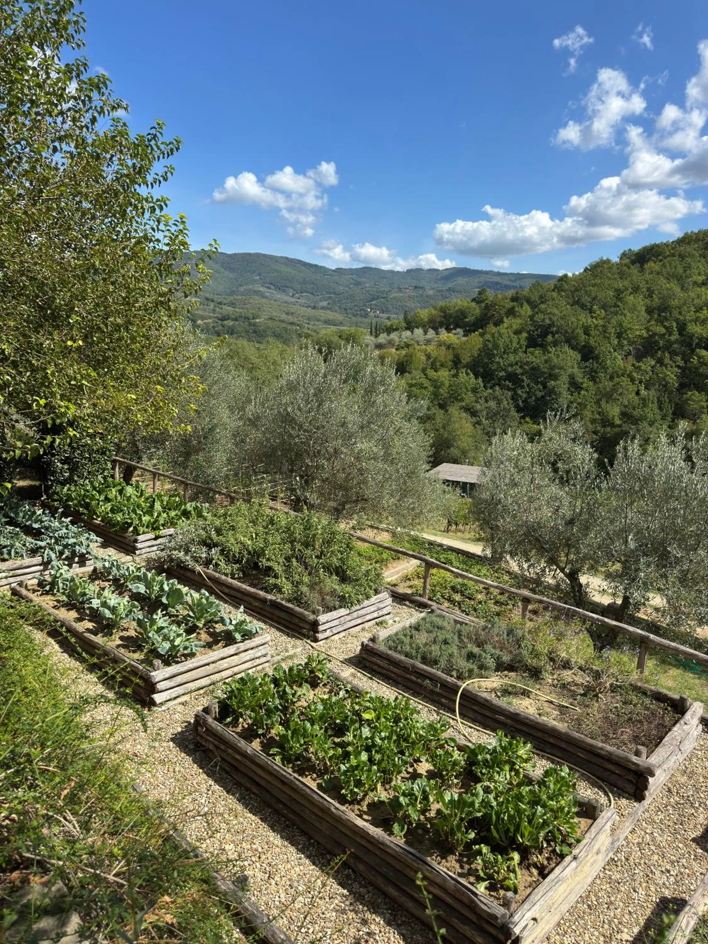 Spring in Terre di Baccio