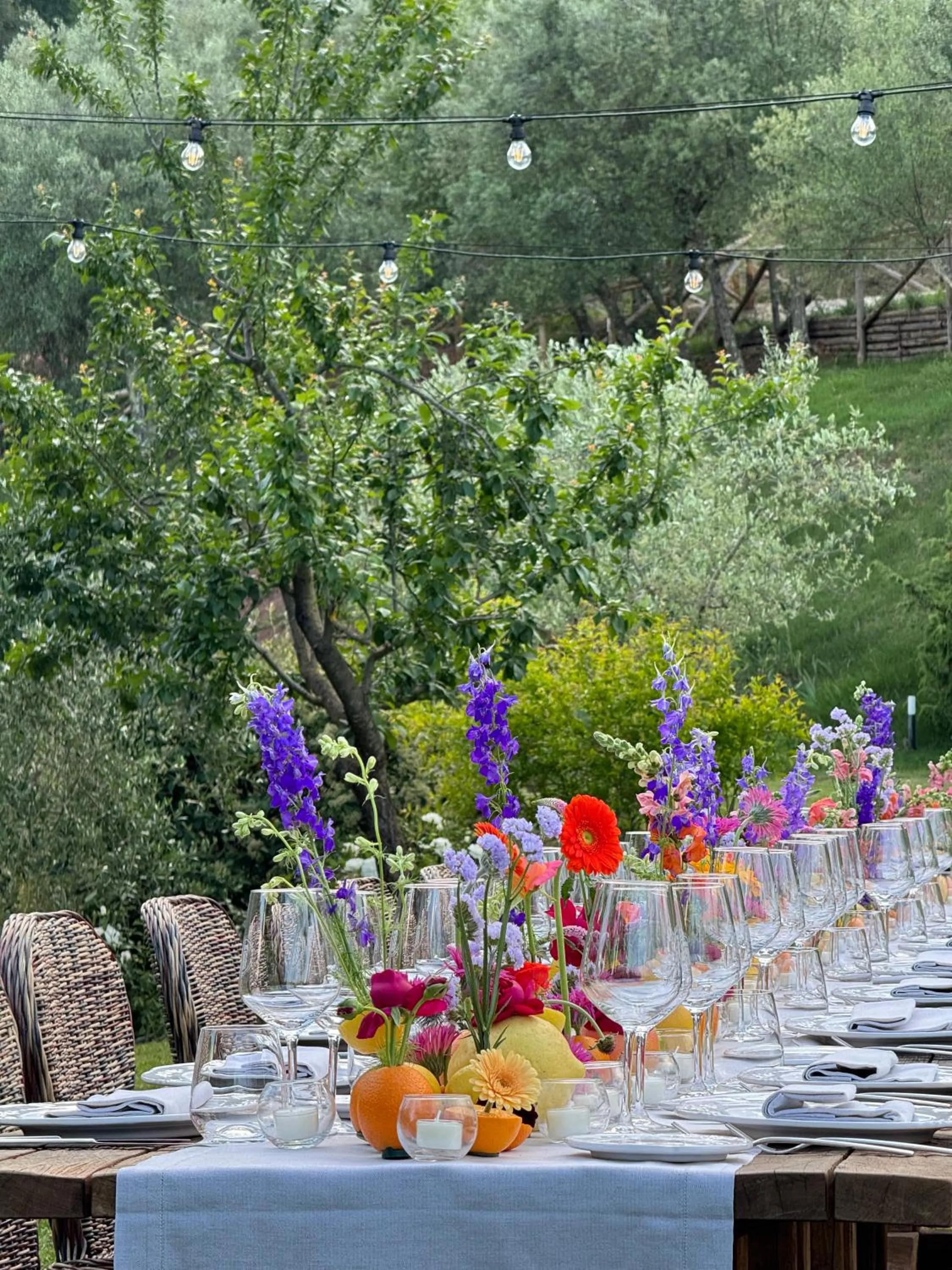 Evening entertainment in Terre di Baccio