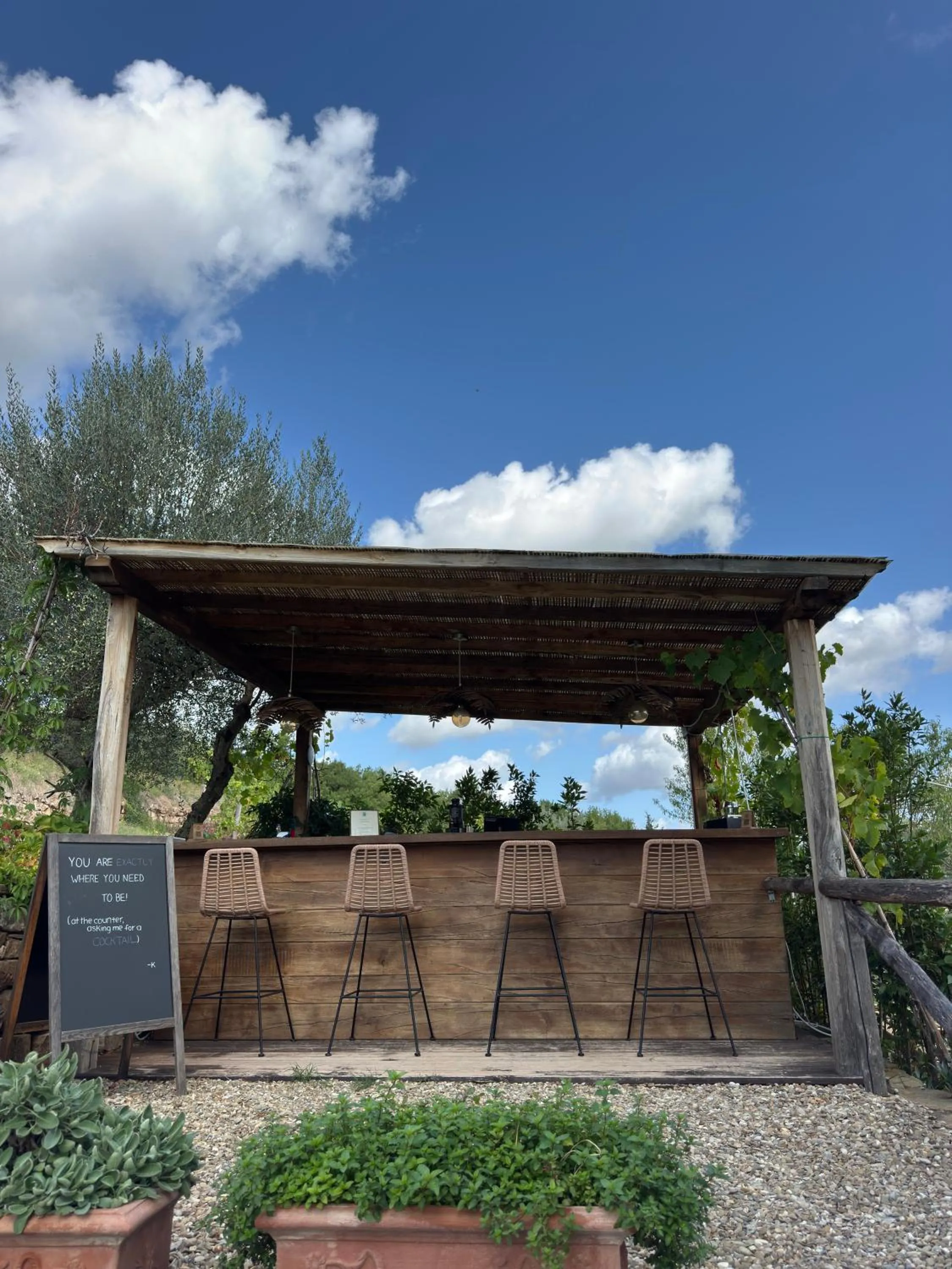 Pool view in Terre di Baccio