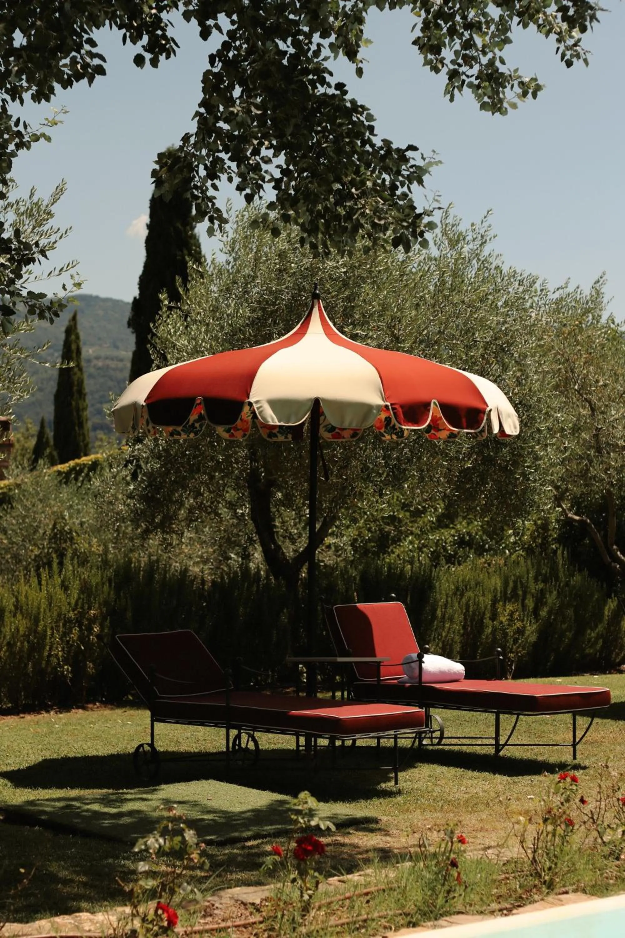 Swimming pool in Terre di Baccio