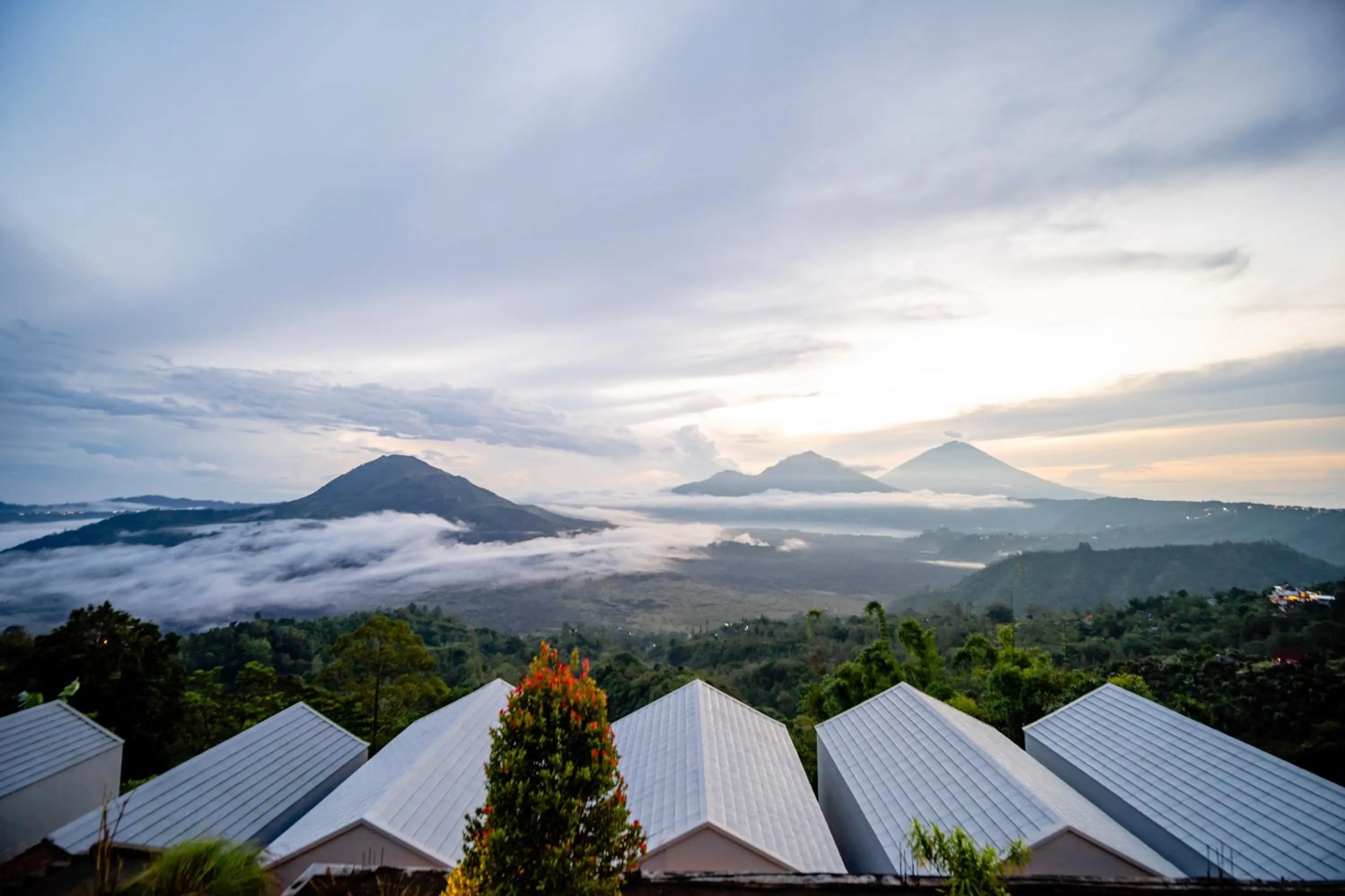 Property building in Tegal Sari Cabin Kintamani