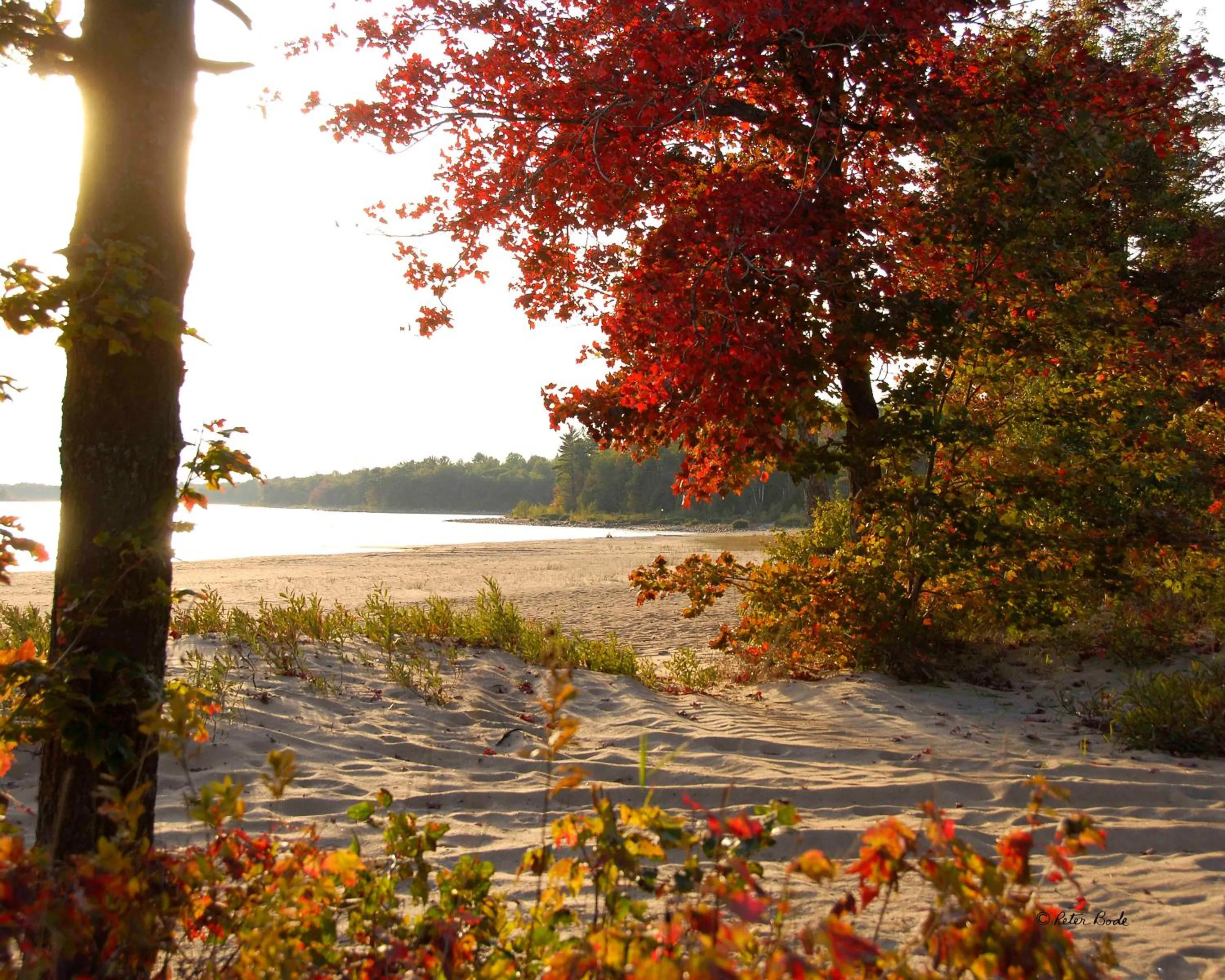 Area and facilities in Lakeview Inn
